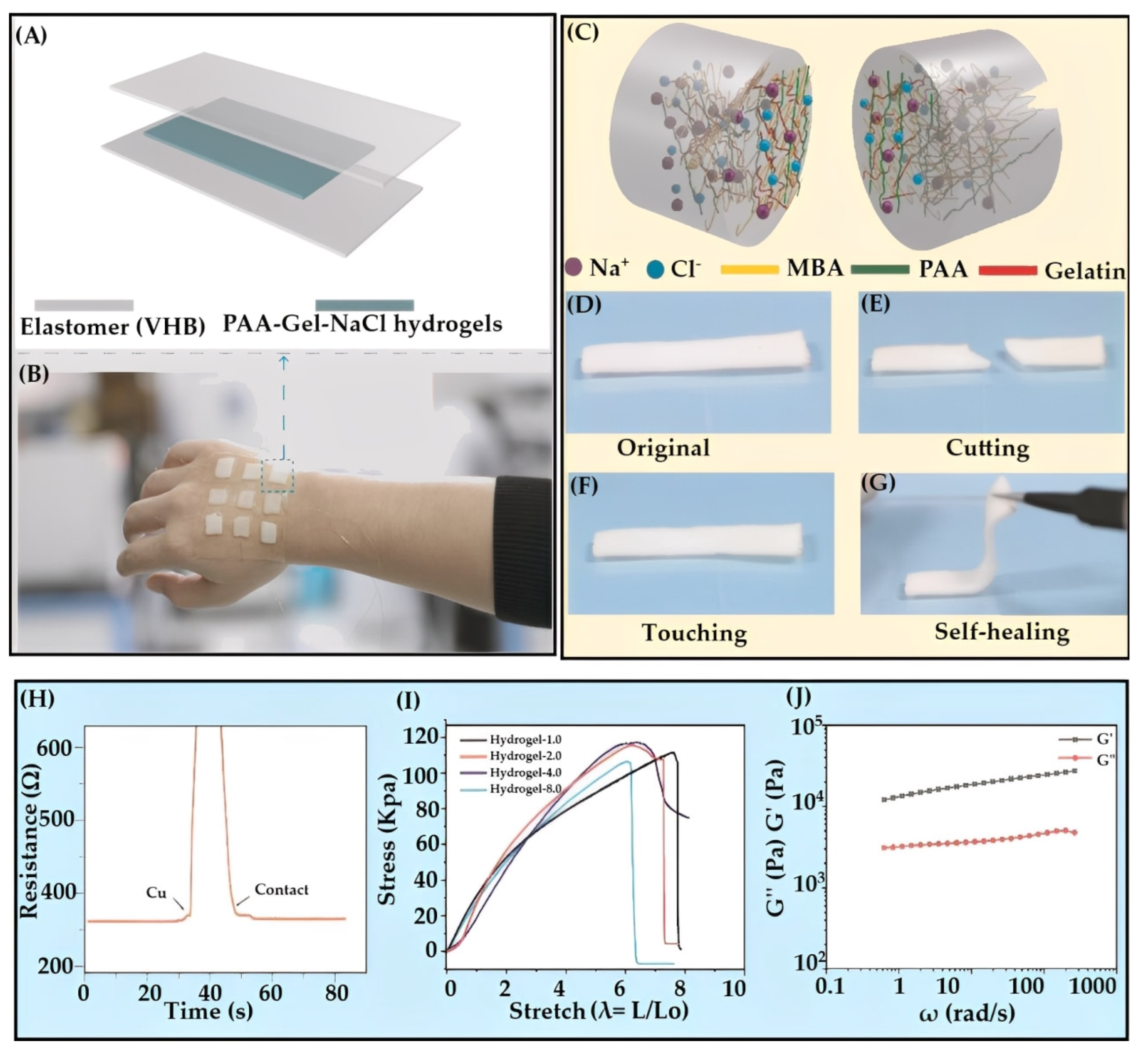 Gels 11 00737 g016 Gels 11 00737 g016