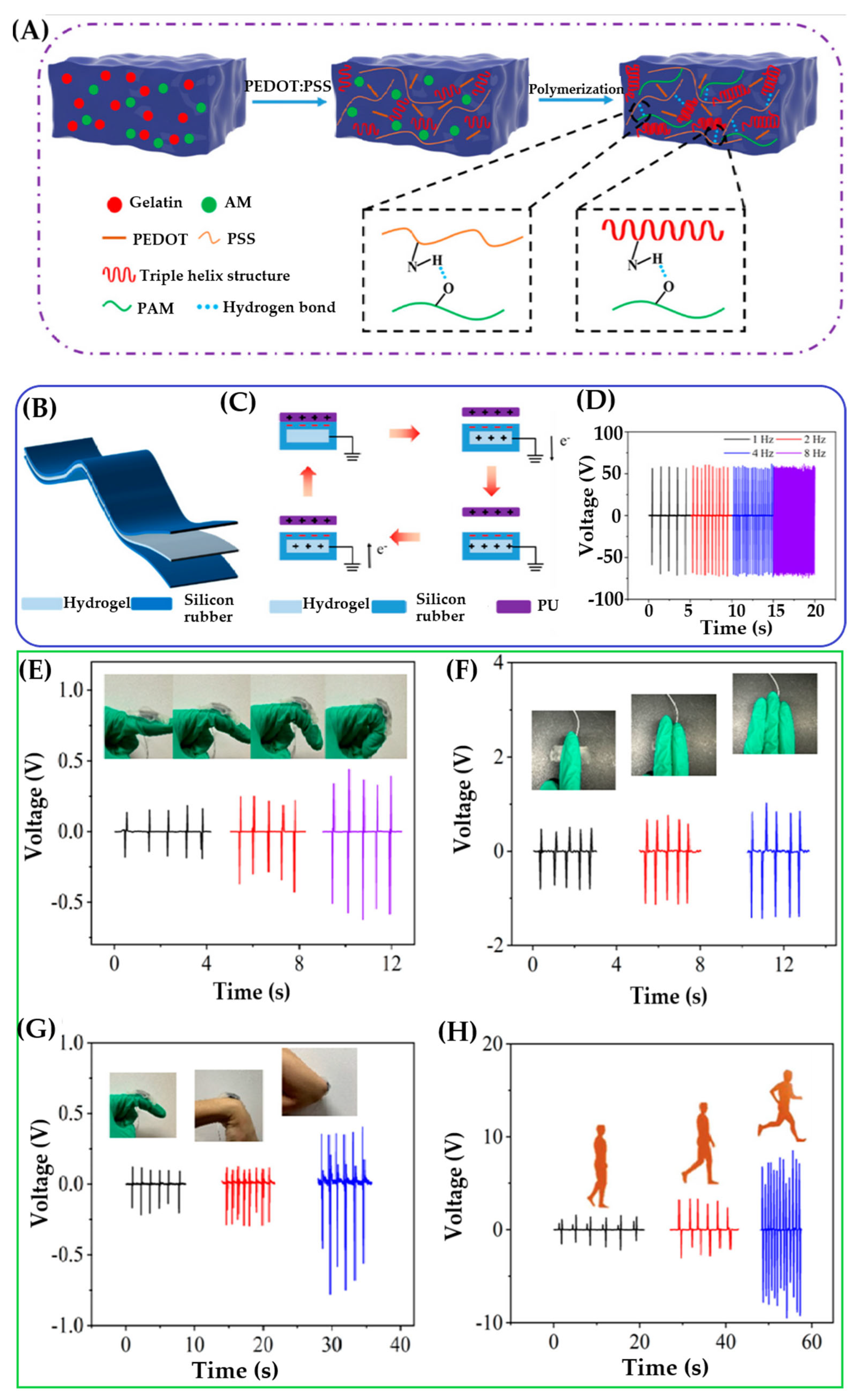 Gels 11 00737 g018 Gels 11 00737 g018
