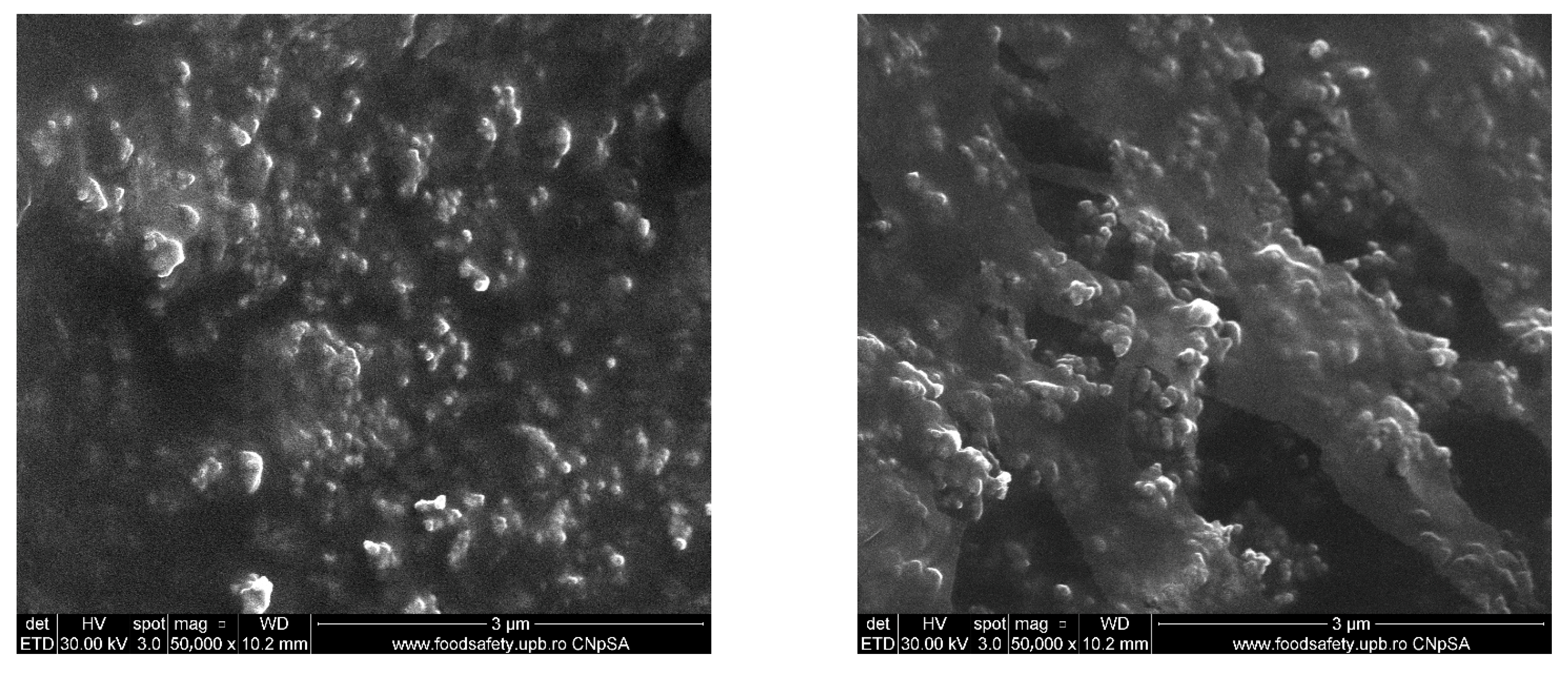 Gels 11 00738 g006a Gels 11 00738 g006a