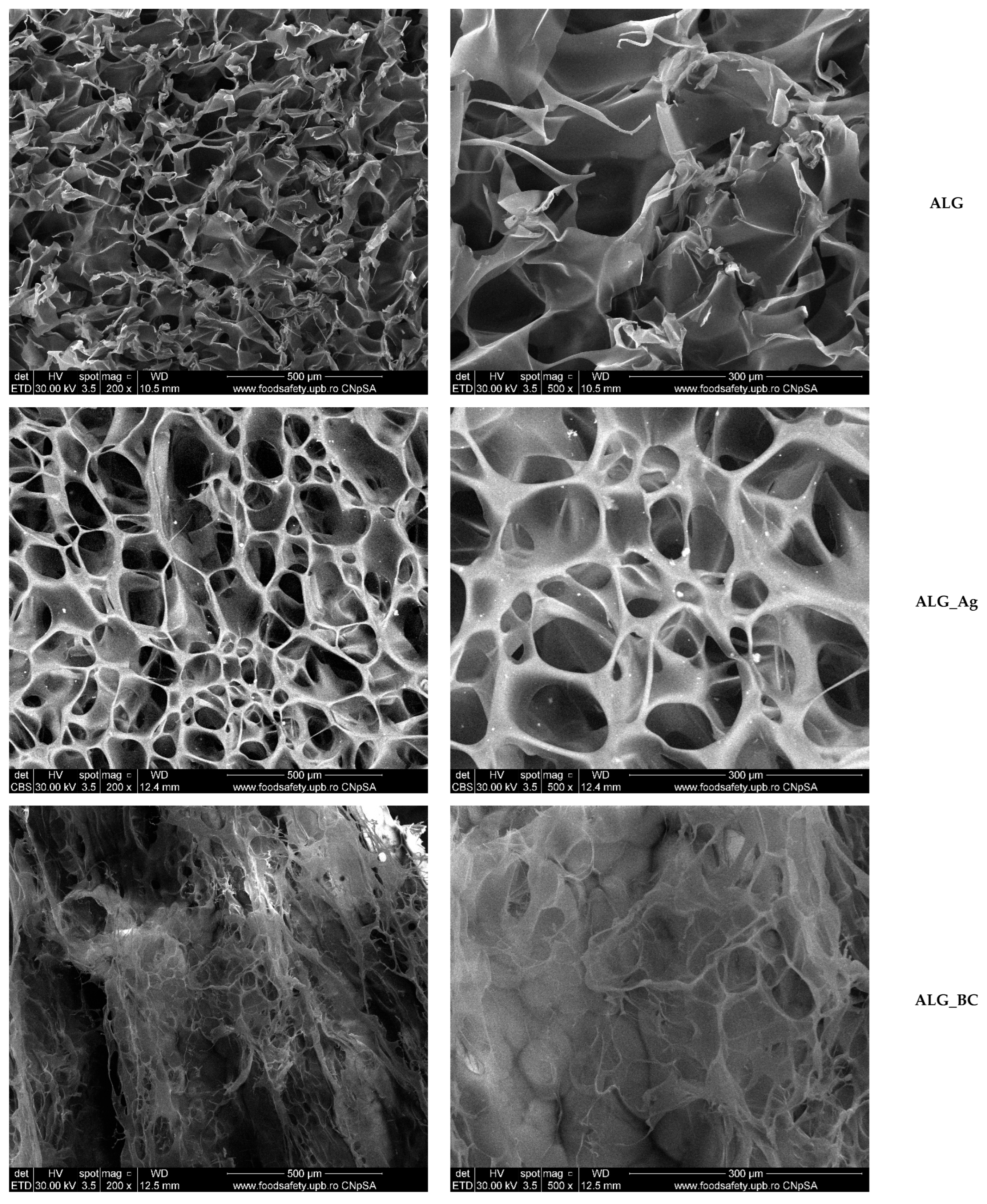 Gels 11 00738 g009a Gels 11 00738 g009a