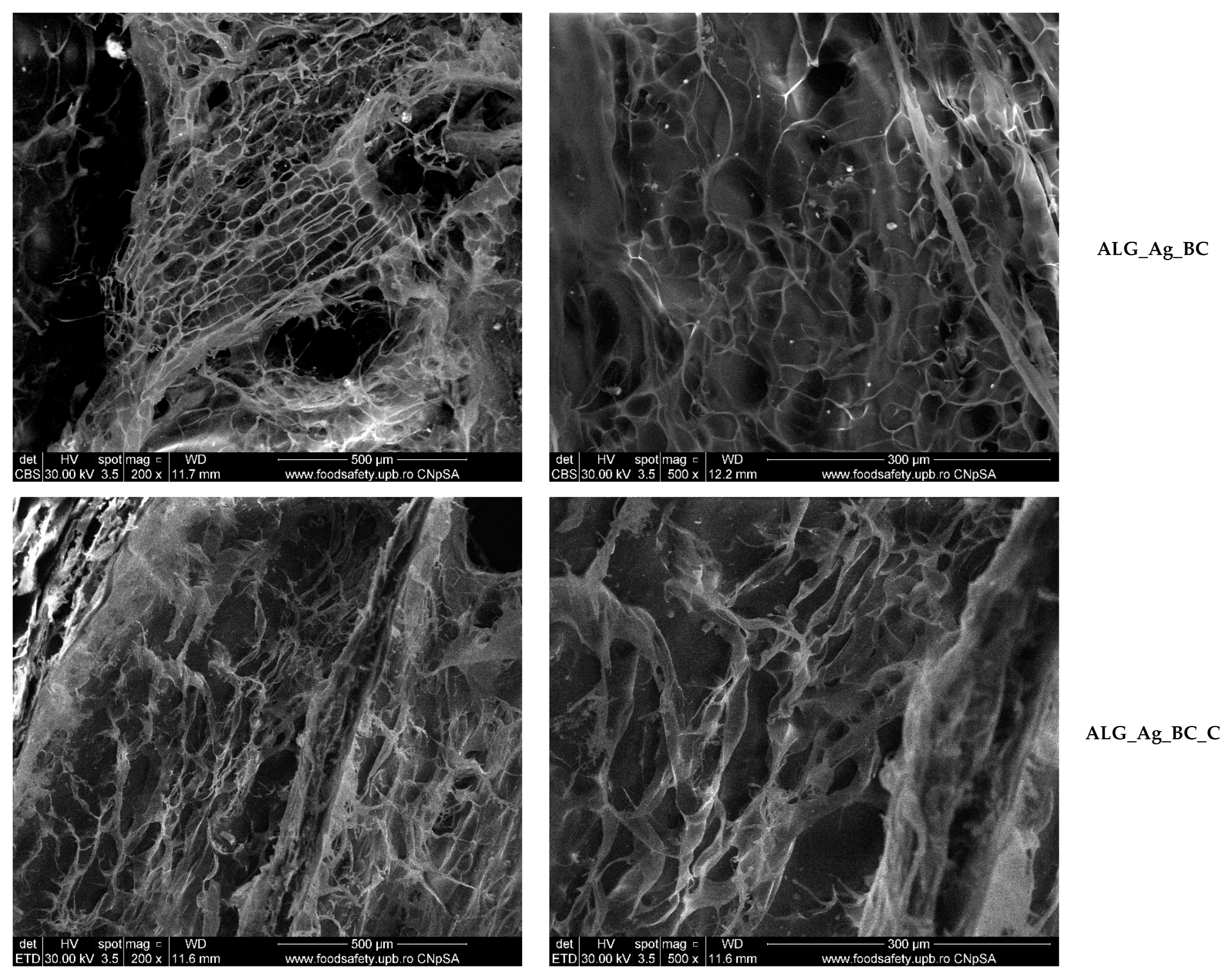 Gels 11 00738 g009b Gels 11 00738 g009b