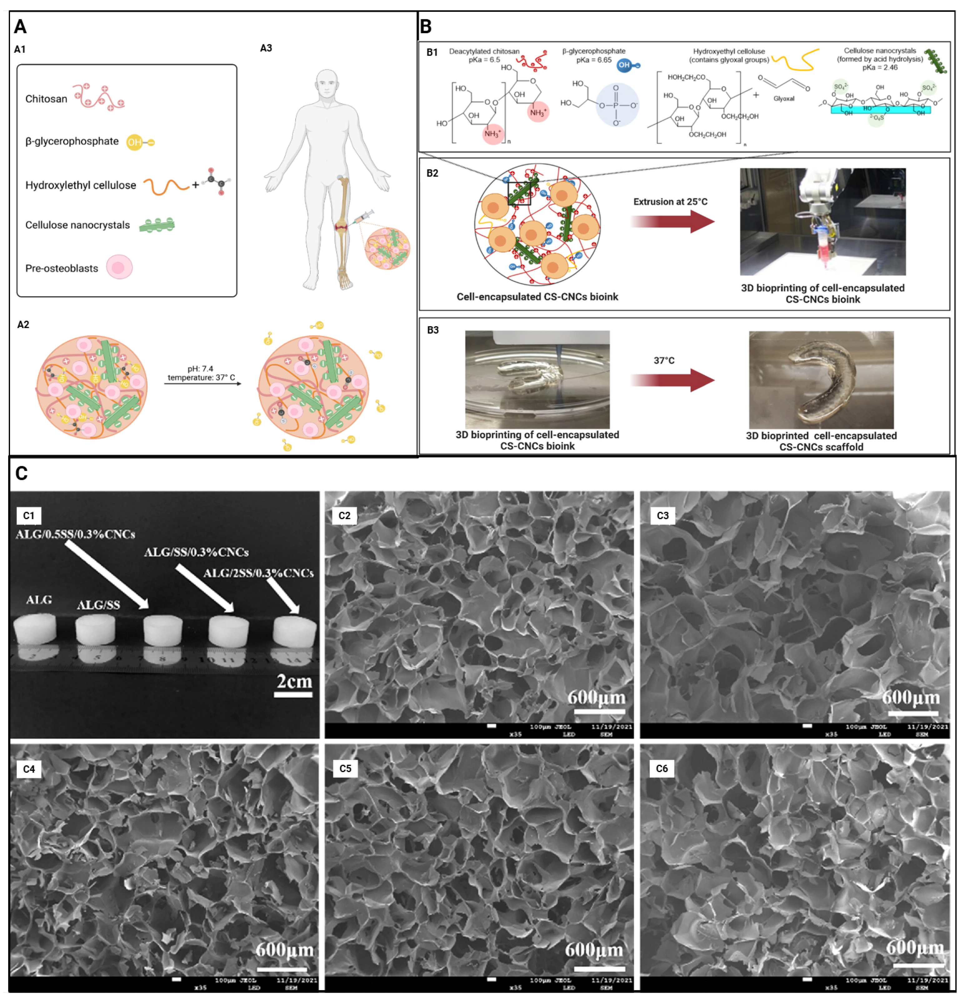 Gels 11 00740 g004 Gels 11 00740 g004