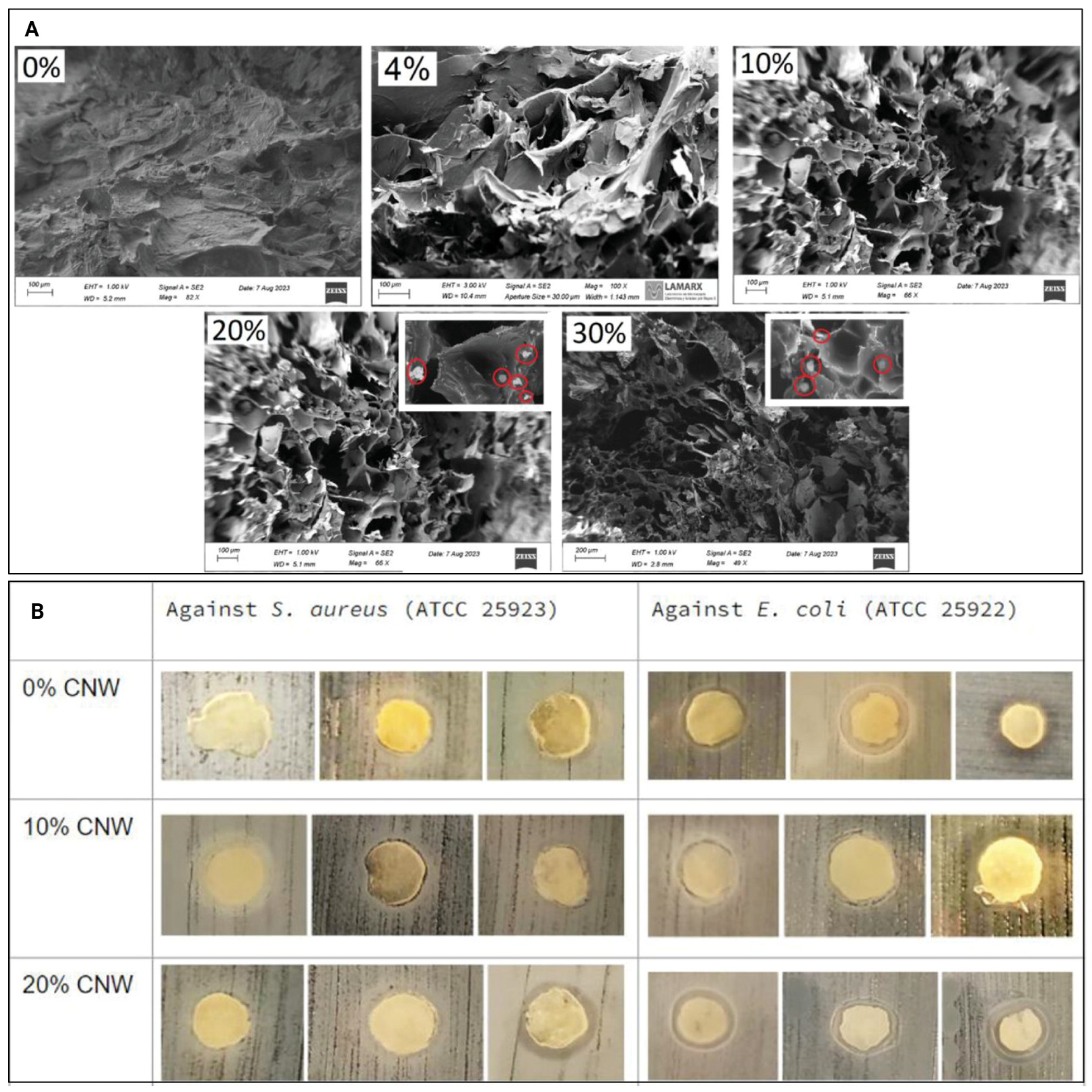 Gels 11 00740 g006 Gels 11 00740 g006