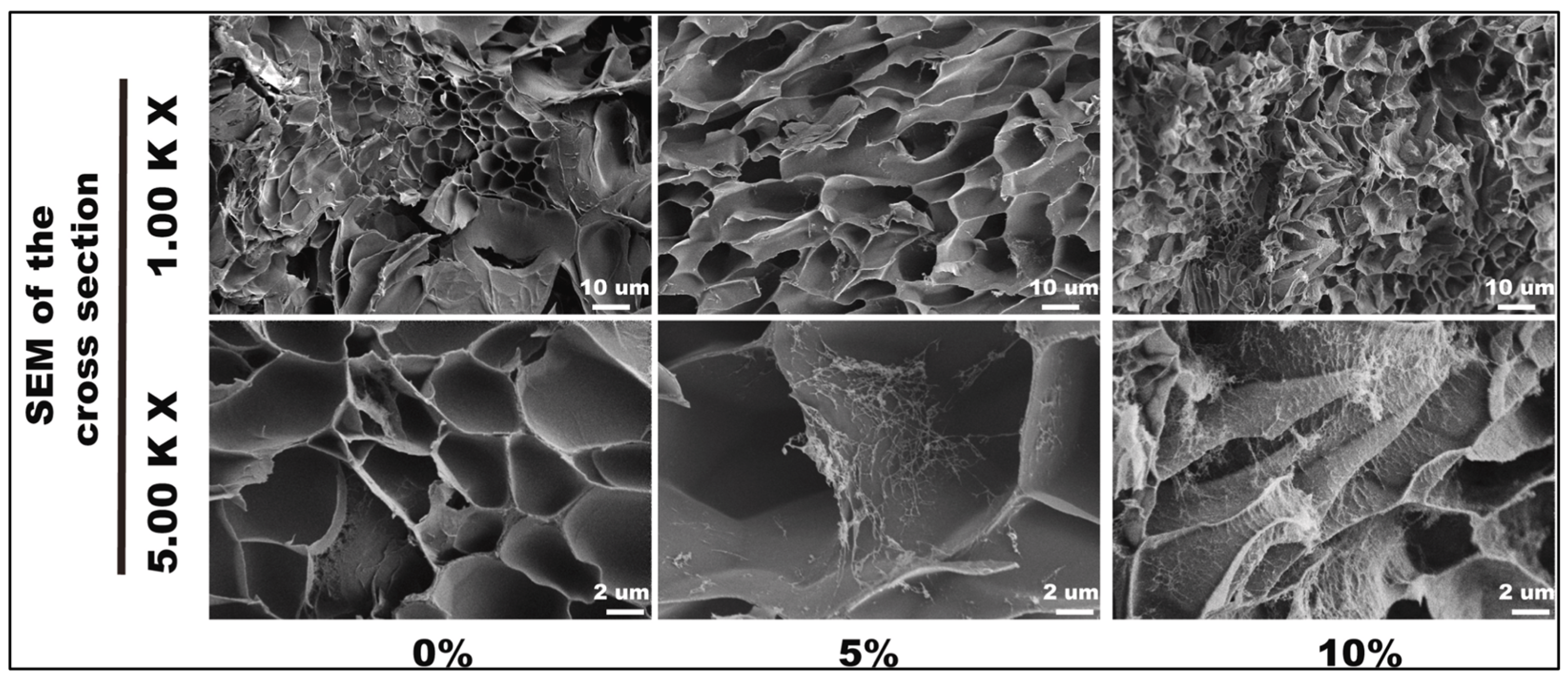 Gels 11 00740 g008 Gels 11 00740 g008