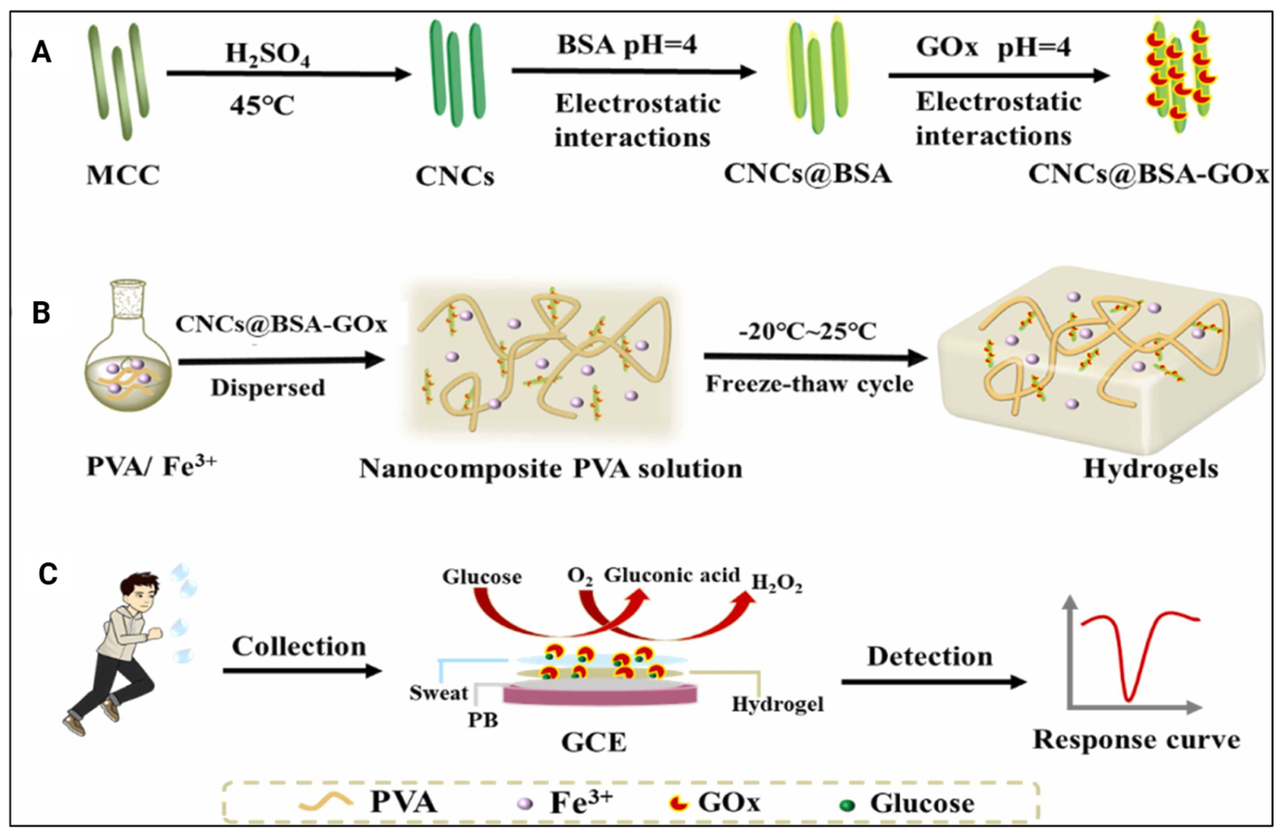 Gels 11 00740 g009 Gels 11 00740 g009