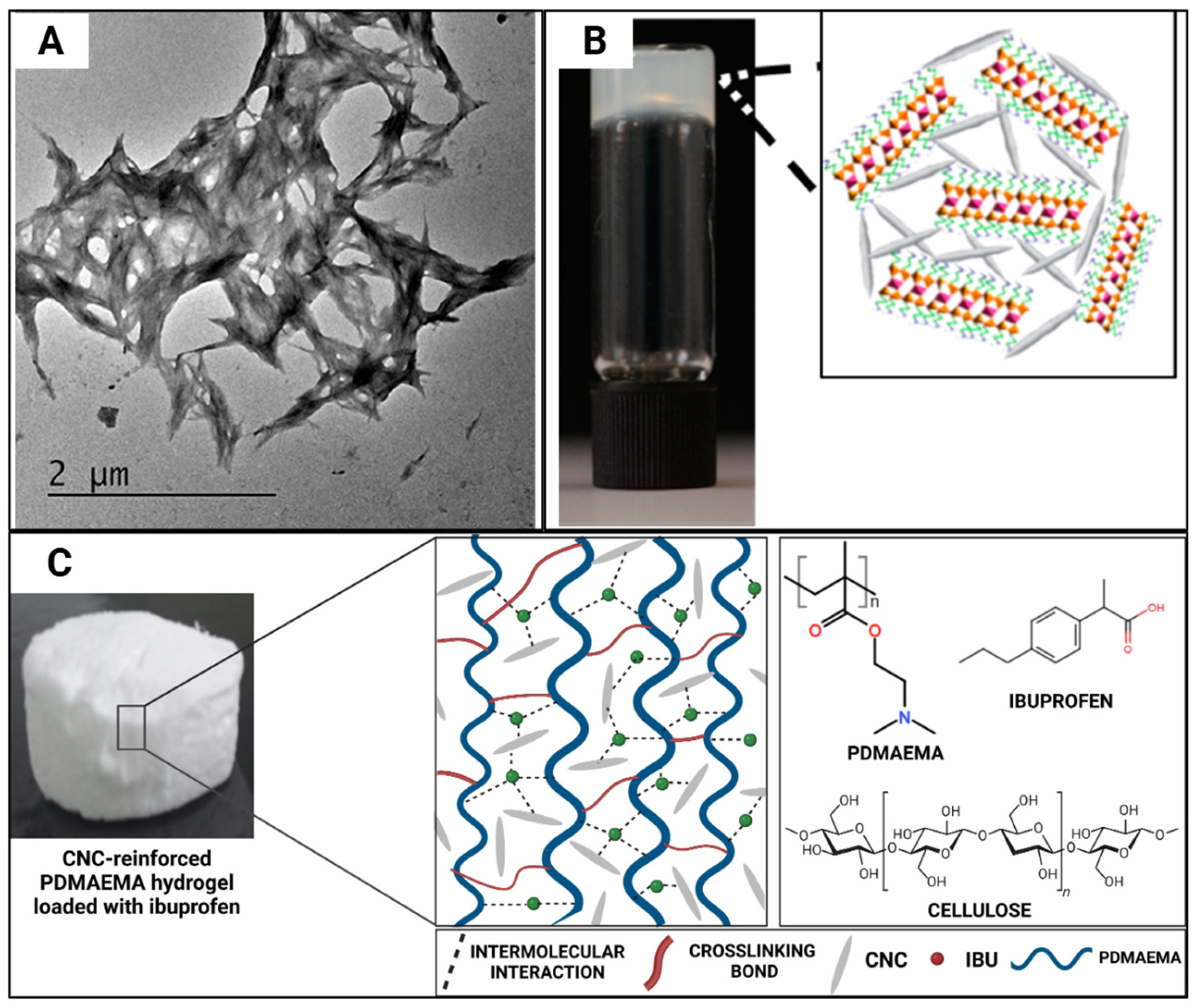 Gels 11 00740 g010 Gels 11 00740 g010