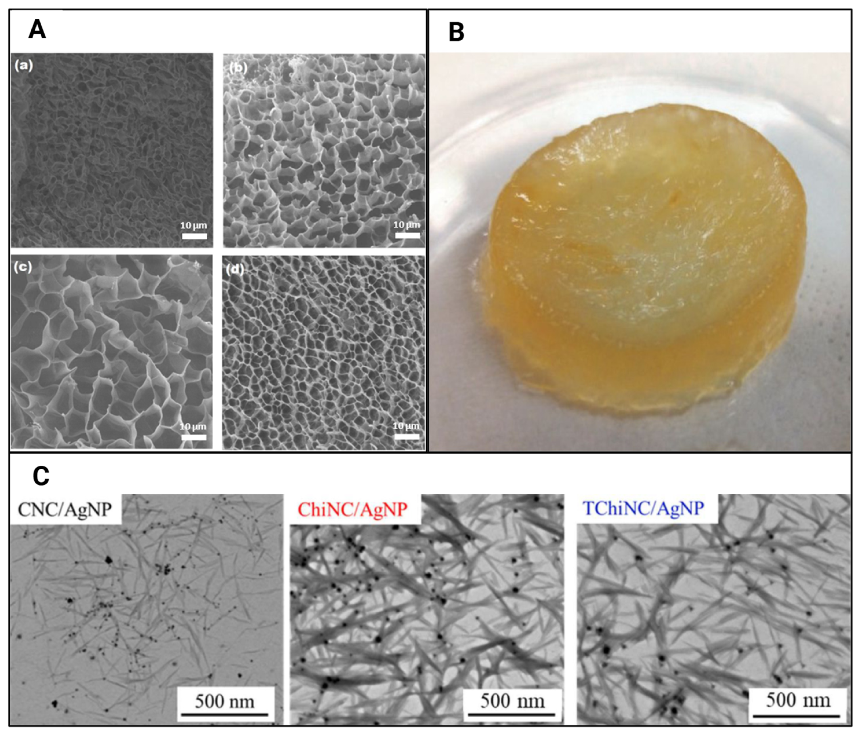 Gels 11 00740 g011 Gels 11 00740 g011