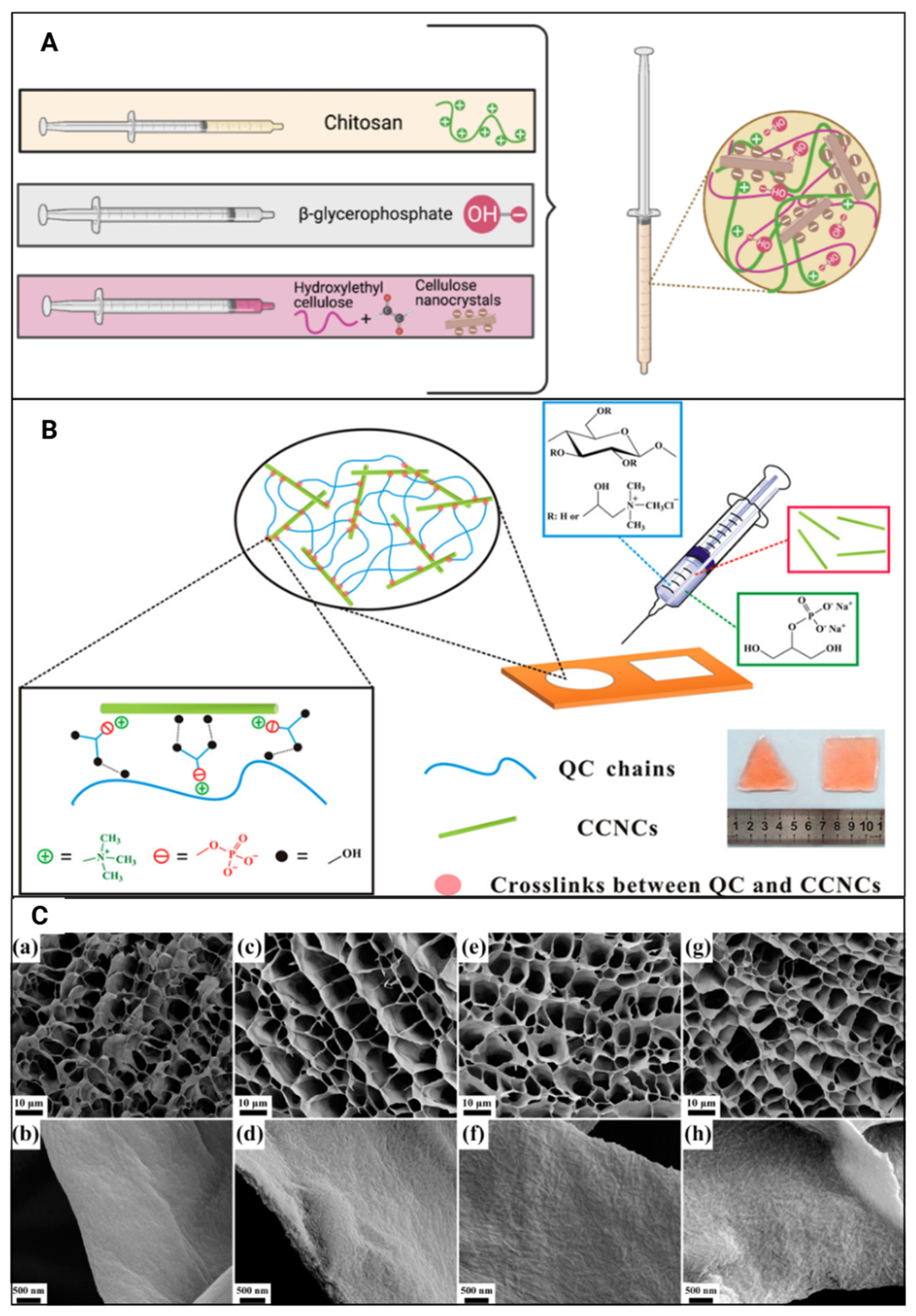 Gels 11 00740 g012 Gels 11 00740 g012