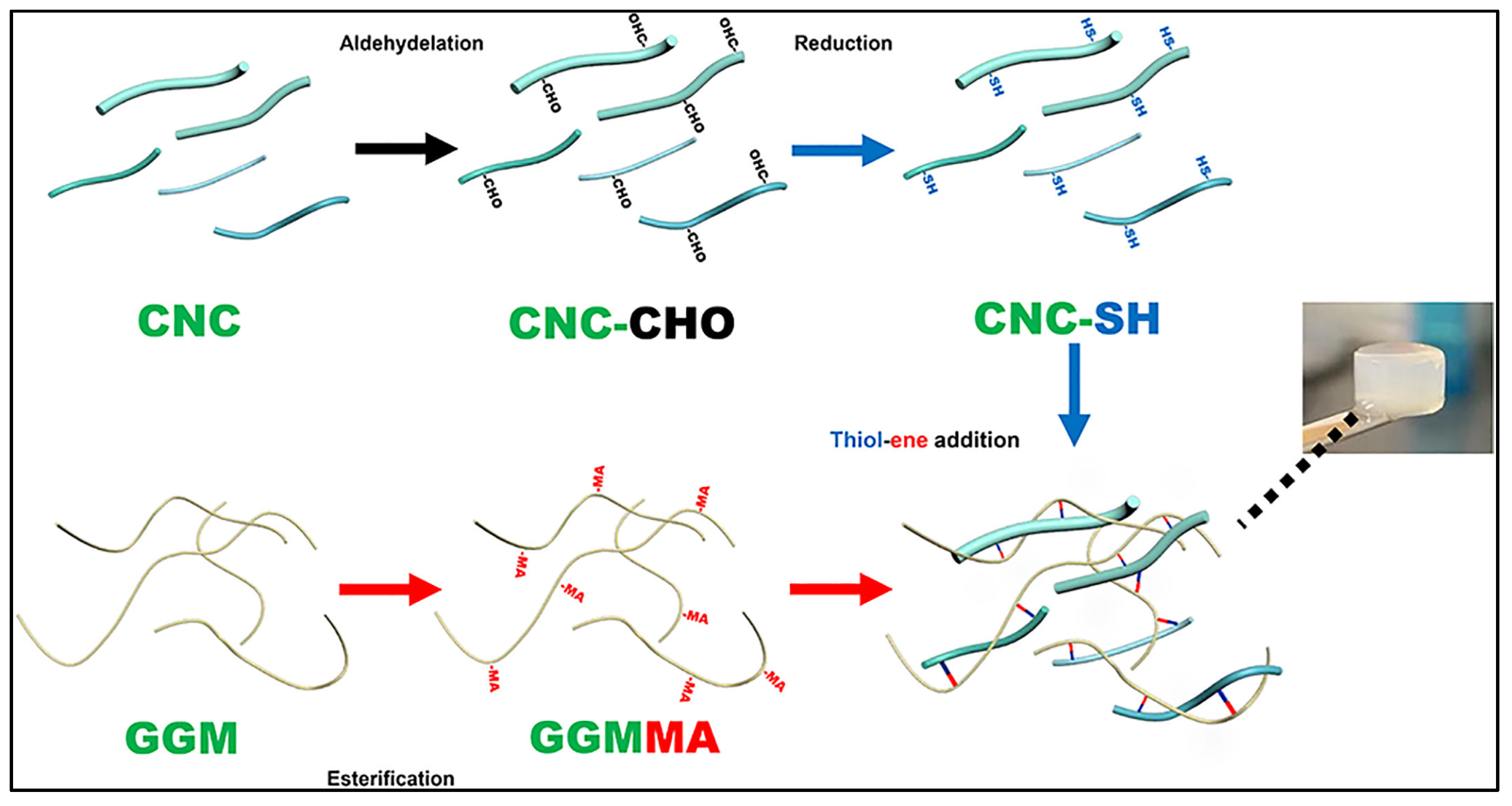 Gels 11 00740 g013 Gels 11 00740 g013