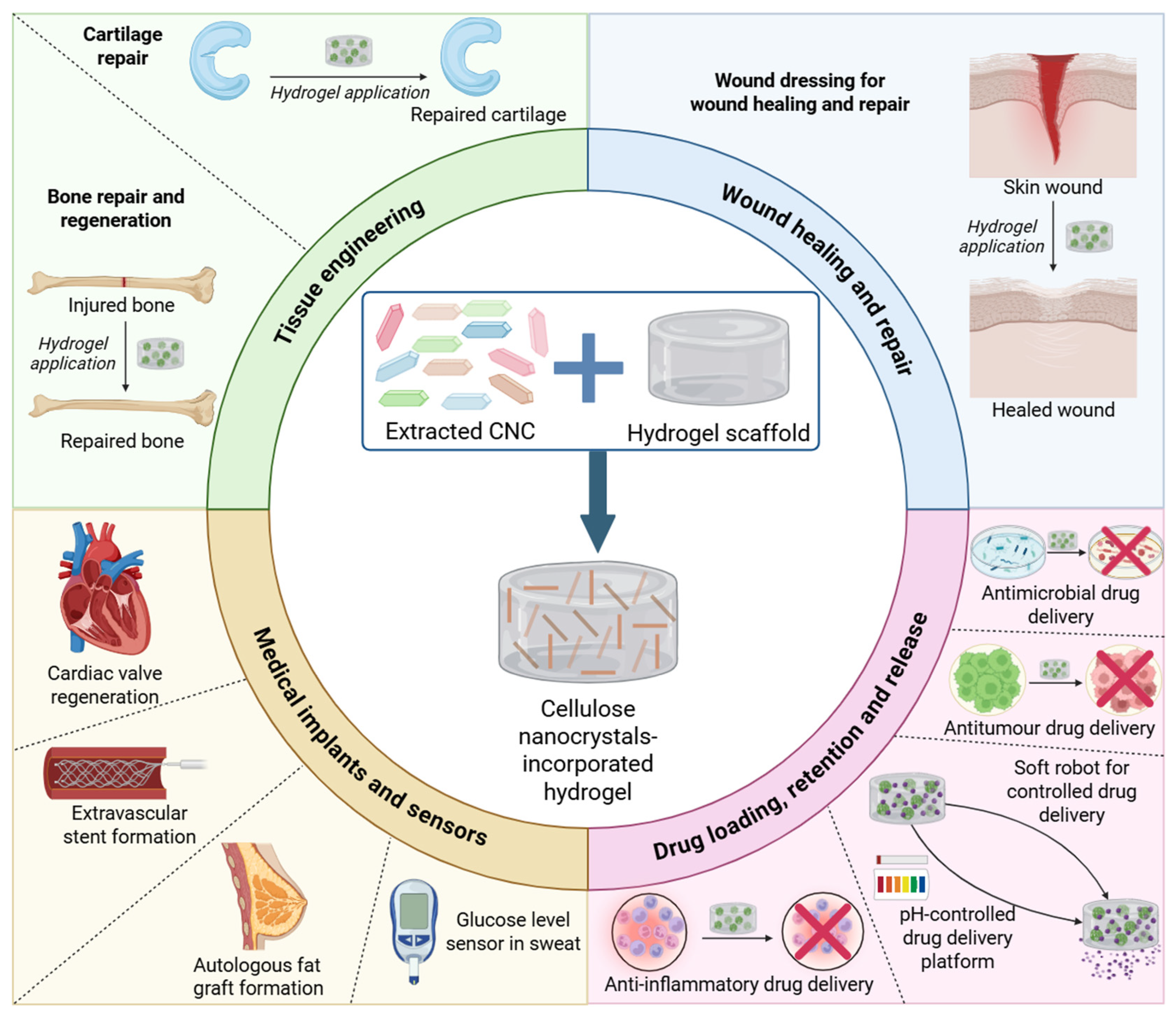 Gels 11 00740 g015 Gels 11 00740 g015