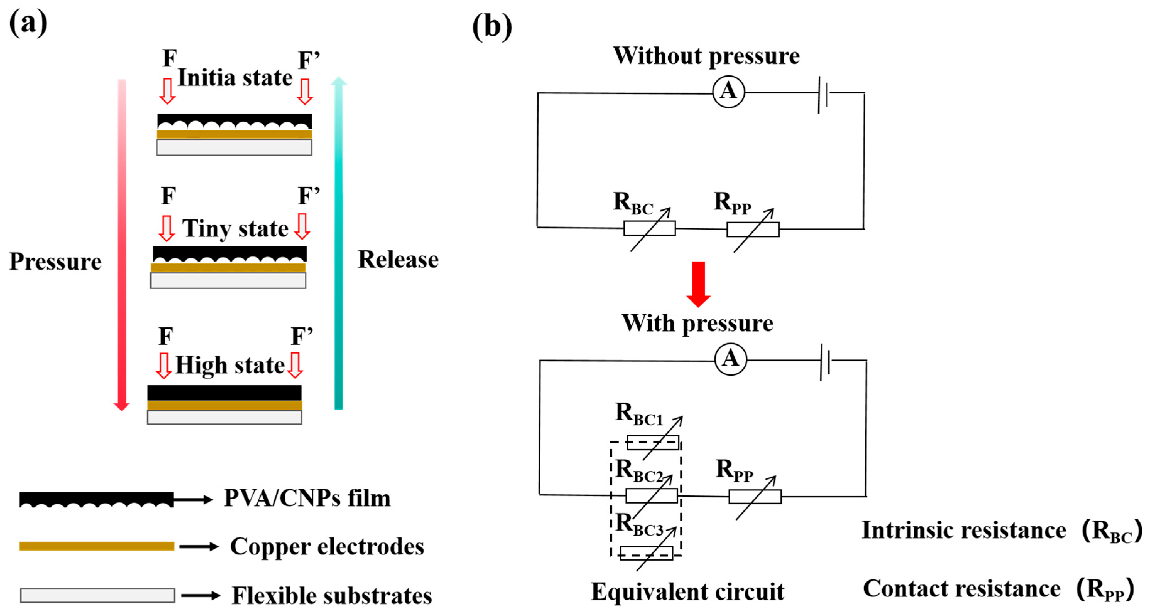 Gels 11 00743 g005 Gels 11 00743 g005