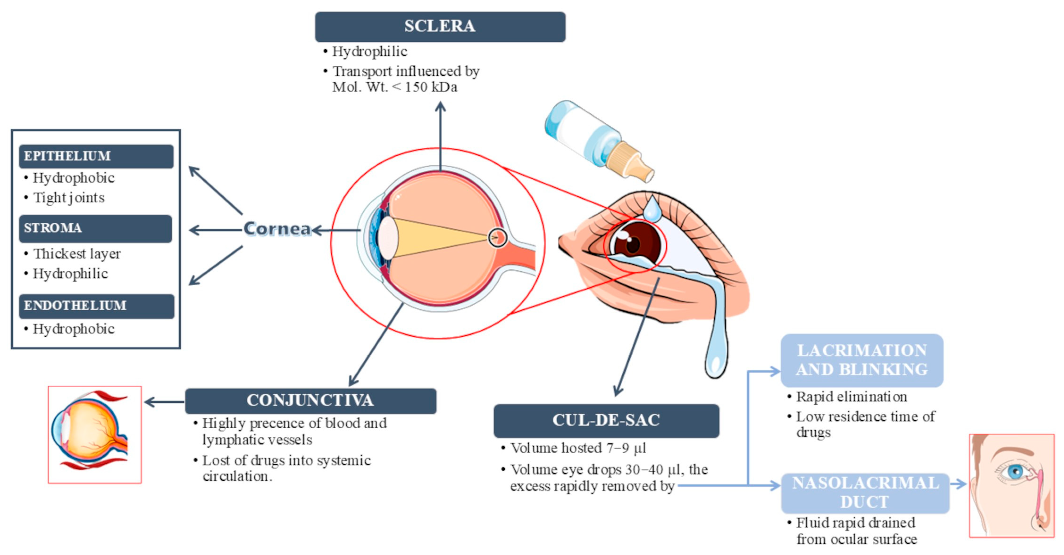Gels 11 00752 g001 Gels 11 00752 g001