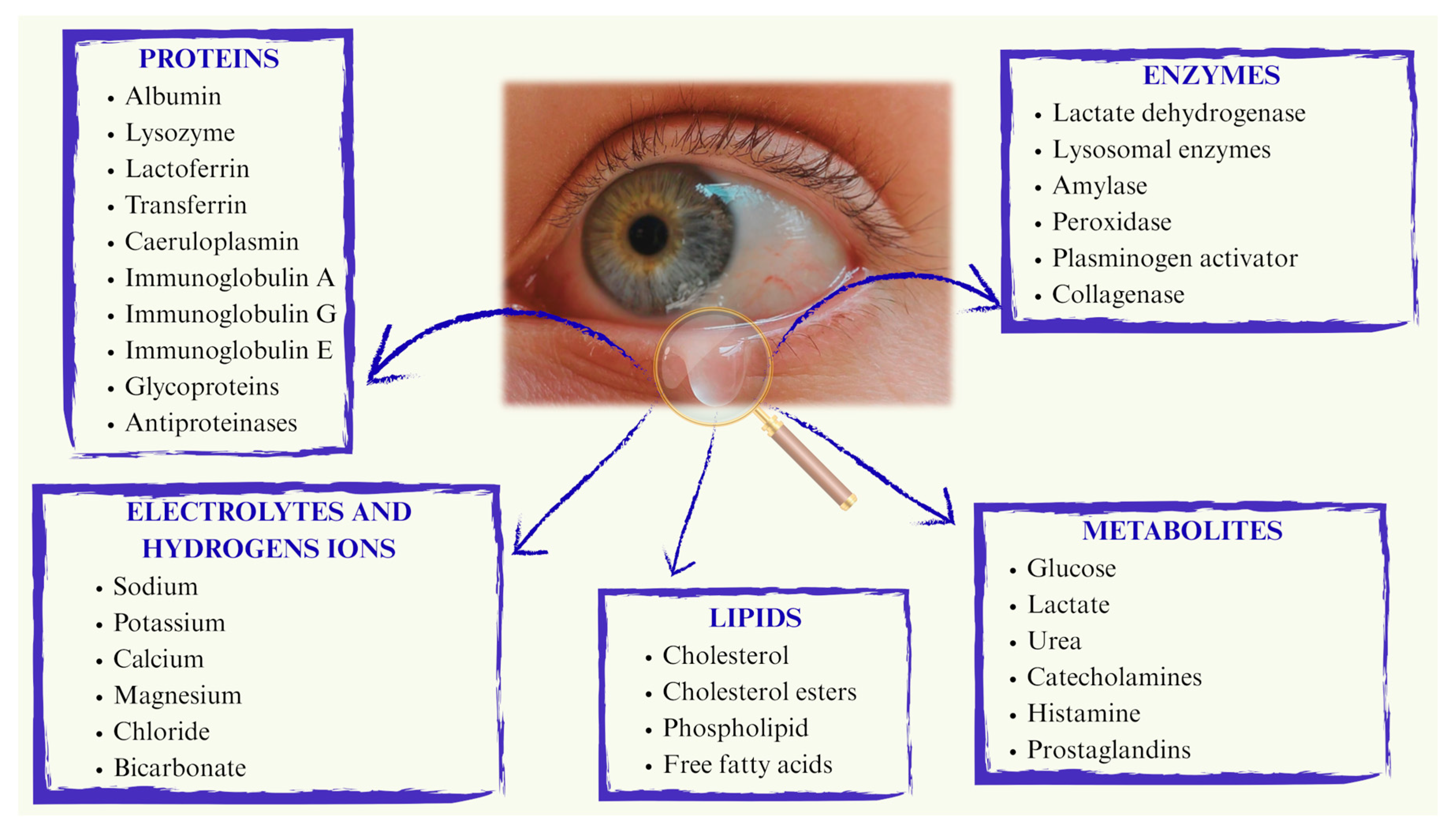 Gels 11 00752 g002 Gels 11 00752 g002