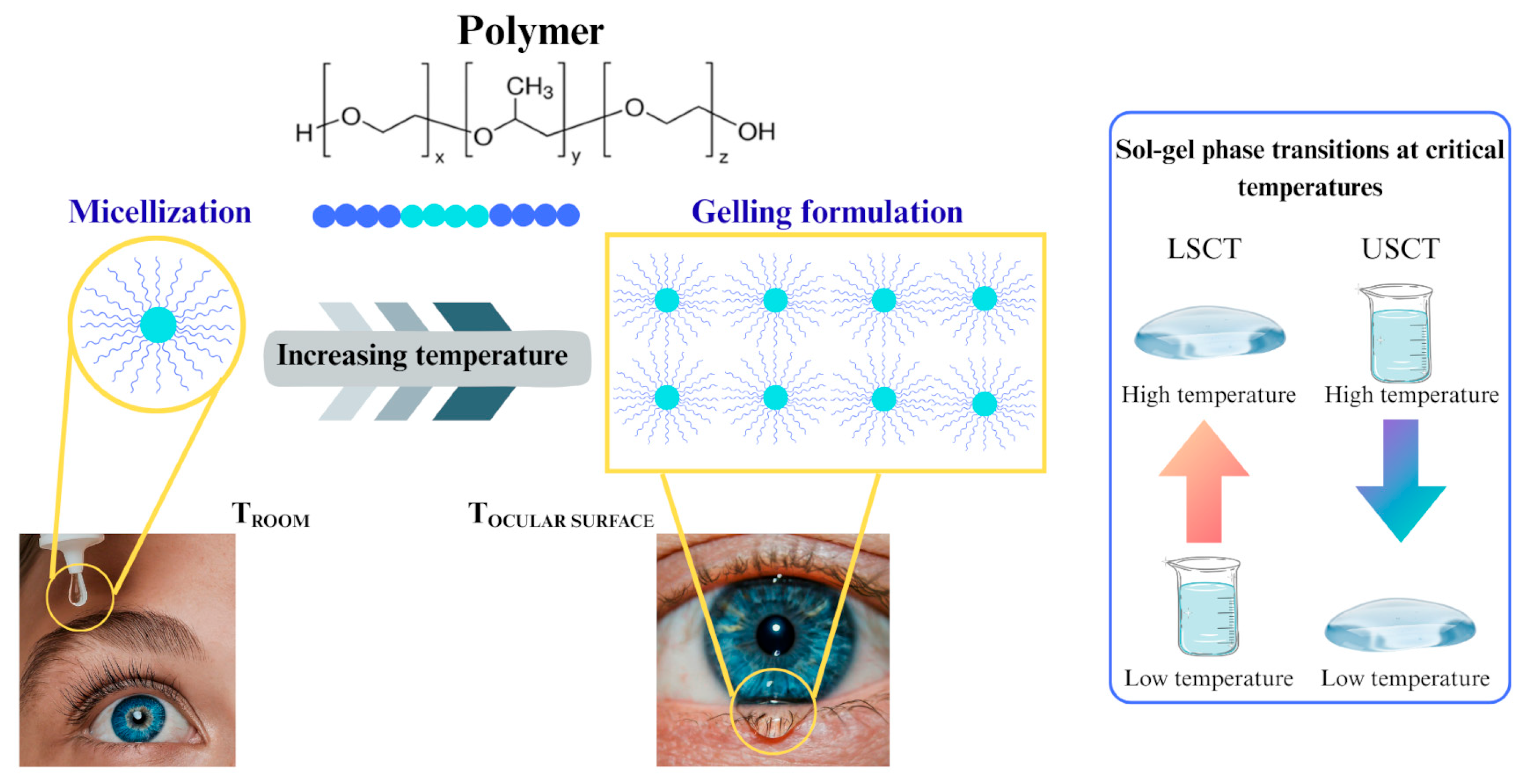 Gels 11 00752 g003 Gels 11 00752 g003
