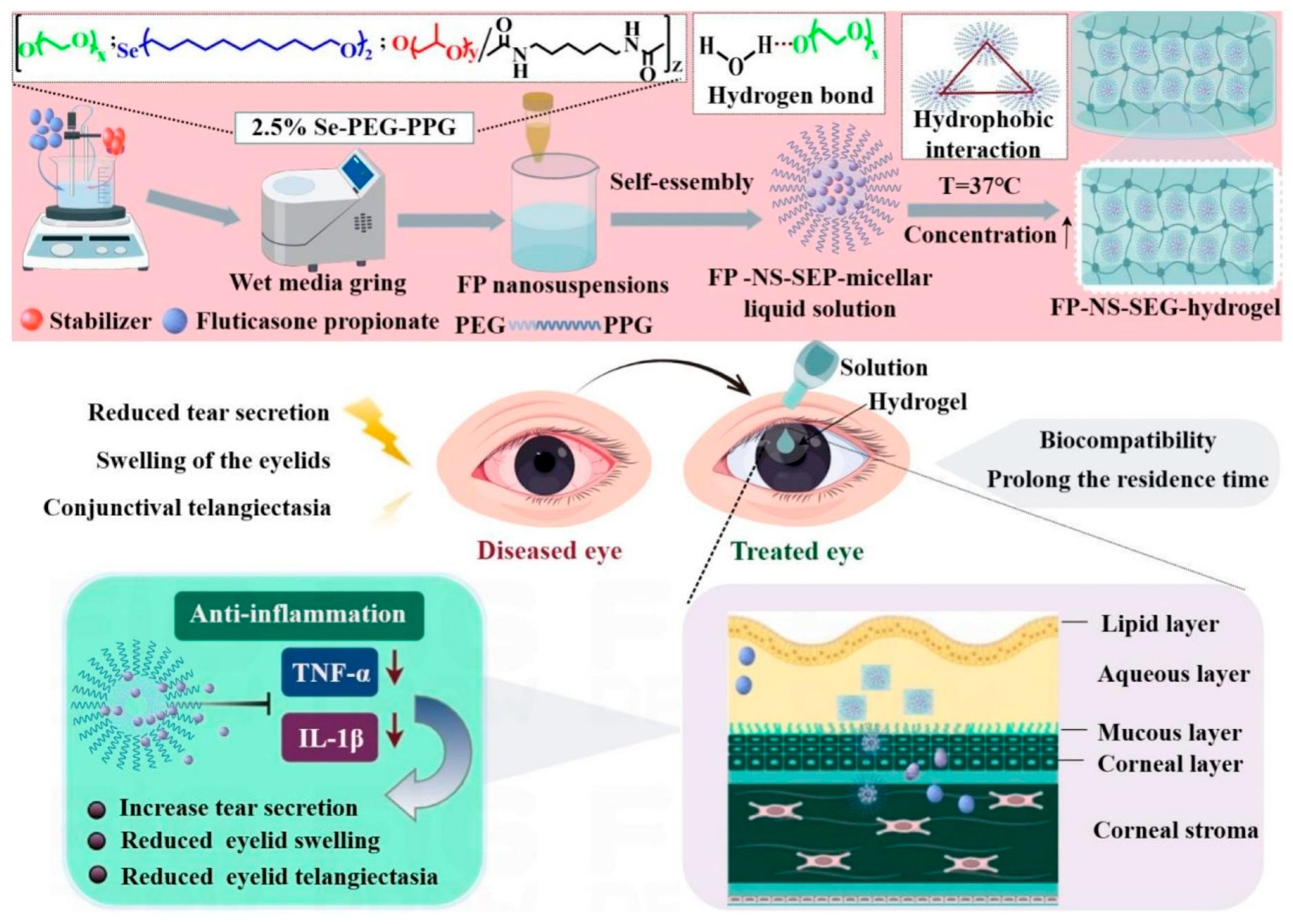 Gels 11 00752 g004 Gels 11 00752 g004