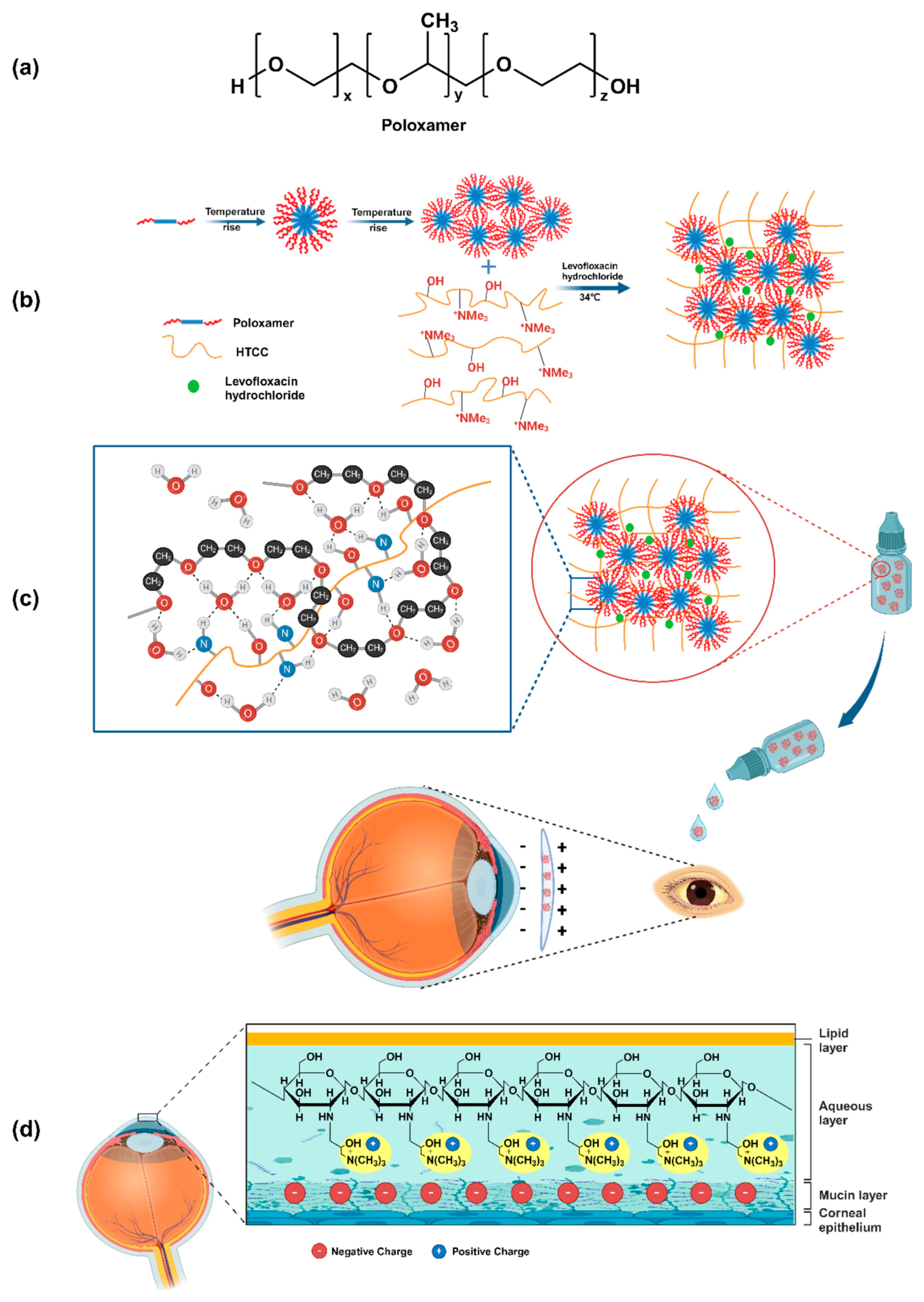 Gels 11 00752 g005 Gels 11 00752 g005