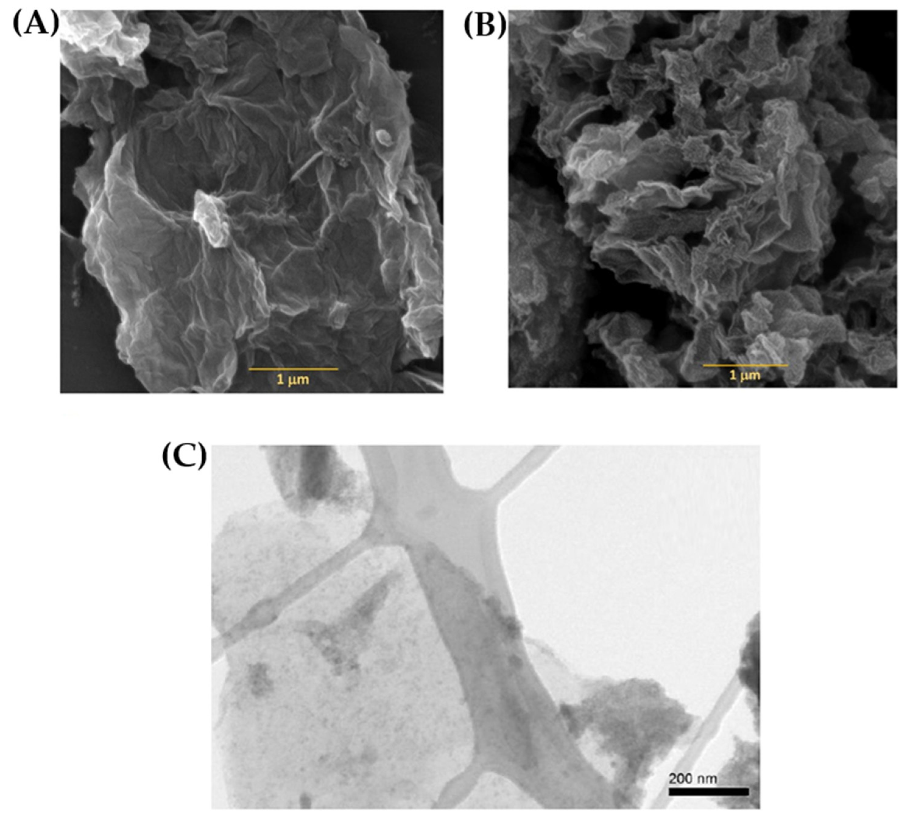 Gels 11 00757 g002 Gels 11 00757 g002