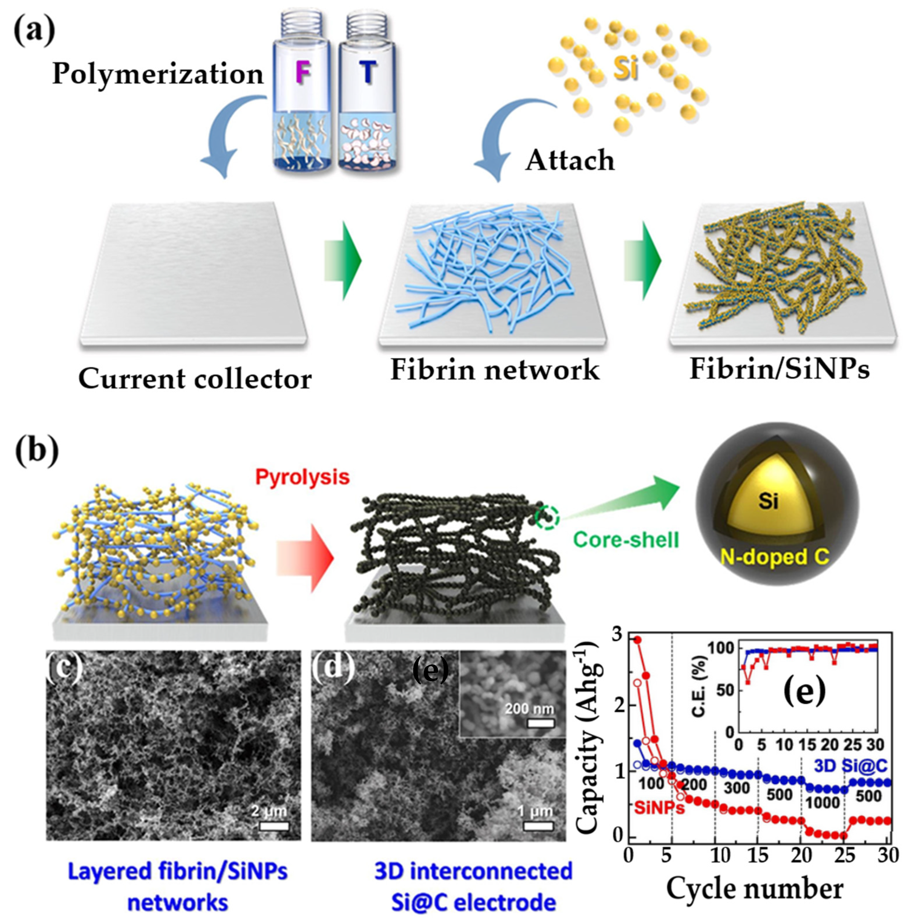 Gels 11 00757 g008 Gels 11 00757 g008