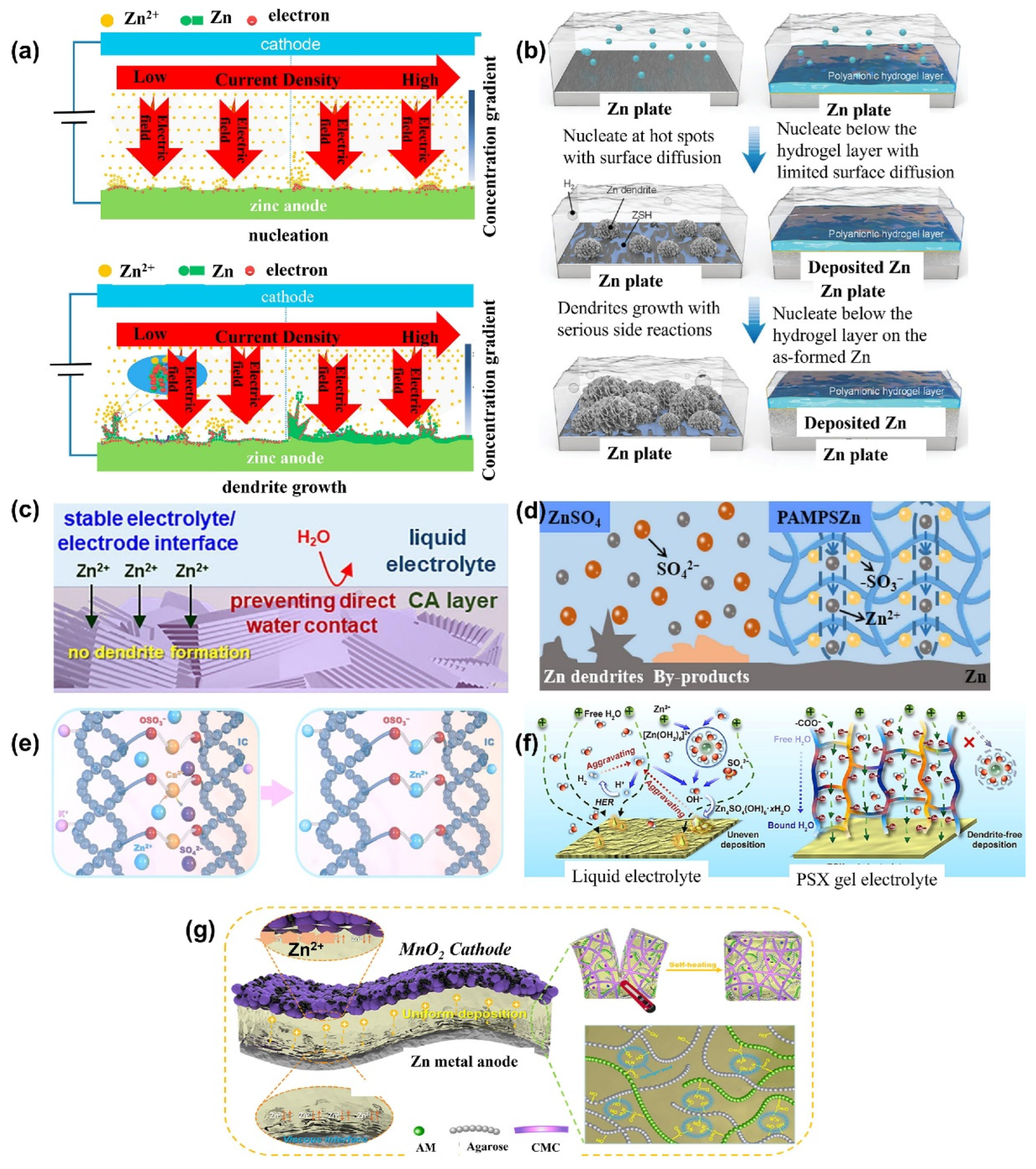 Gels 11 00757 g013 Gels 11 00757 g013