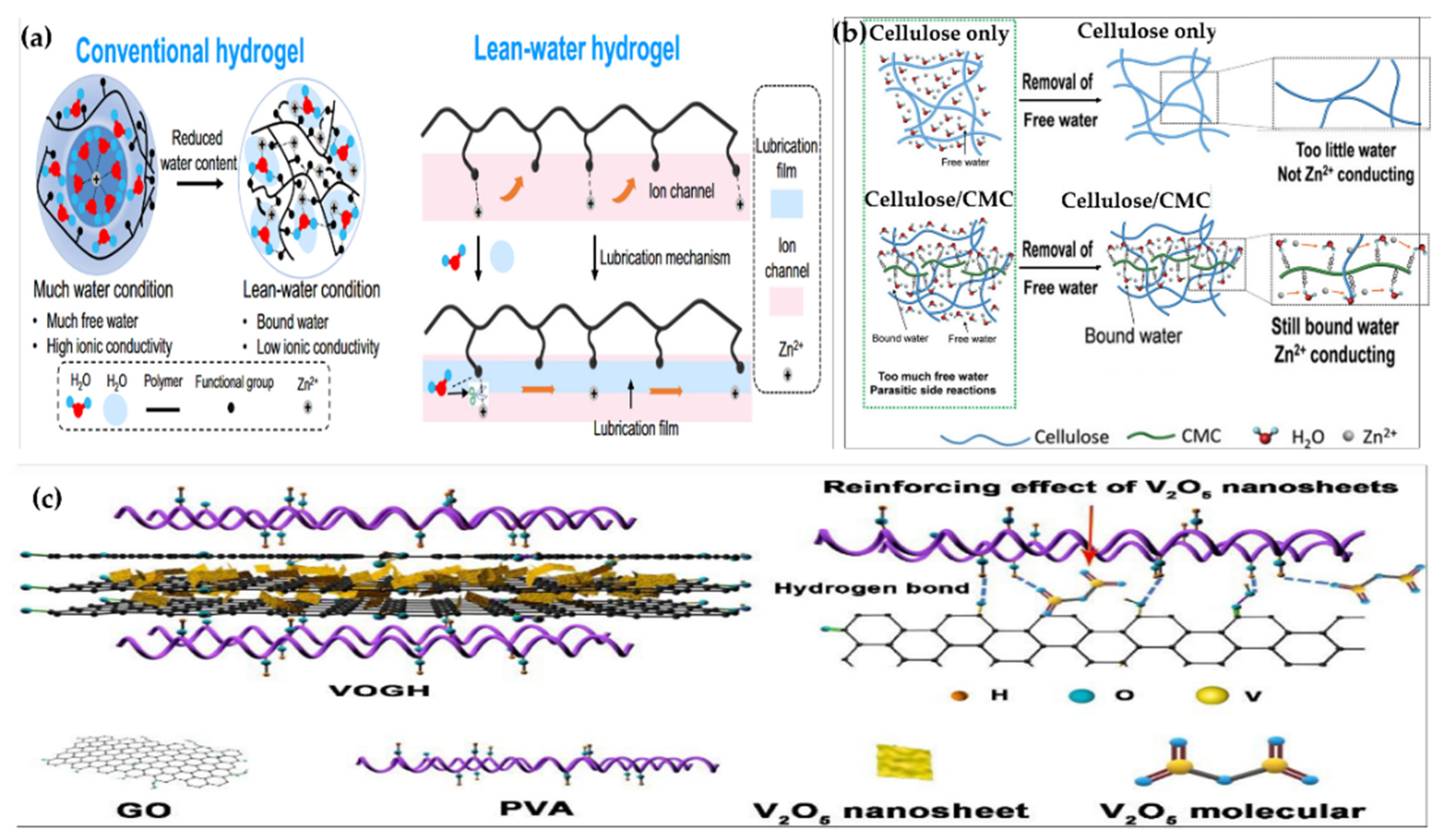 Gels 11 00757 g014 Gels 11 00757 g014