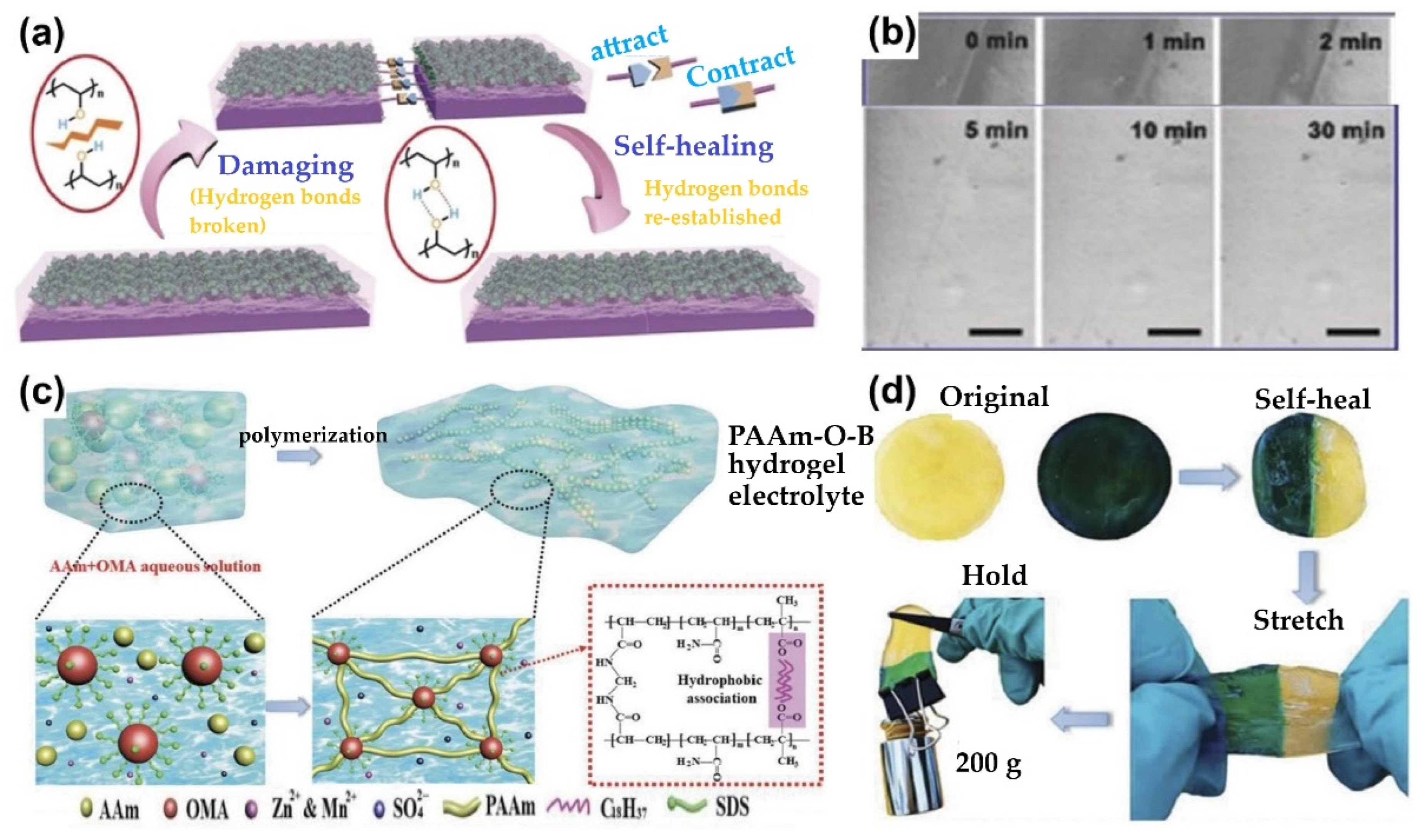 Gels 11 00757 g016 Gels 11 00757 g016