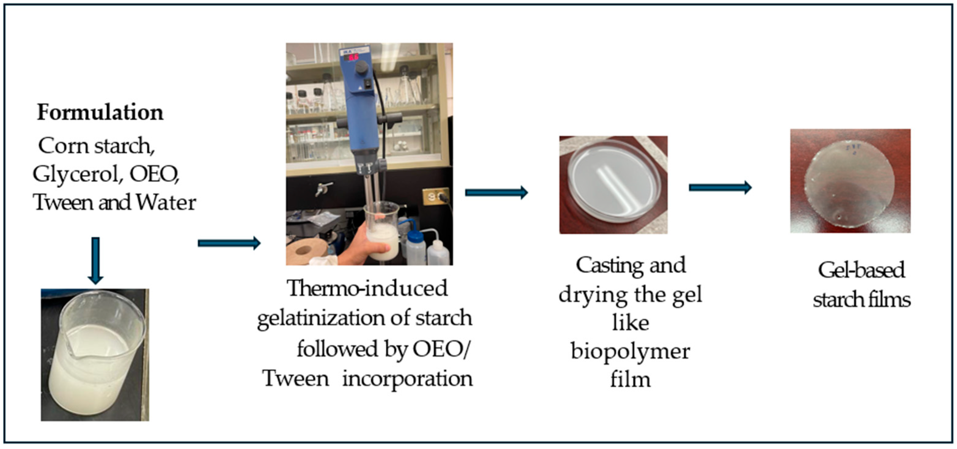 Gels 11 00760 g001 Gels 11 00760 g001