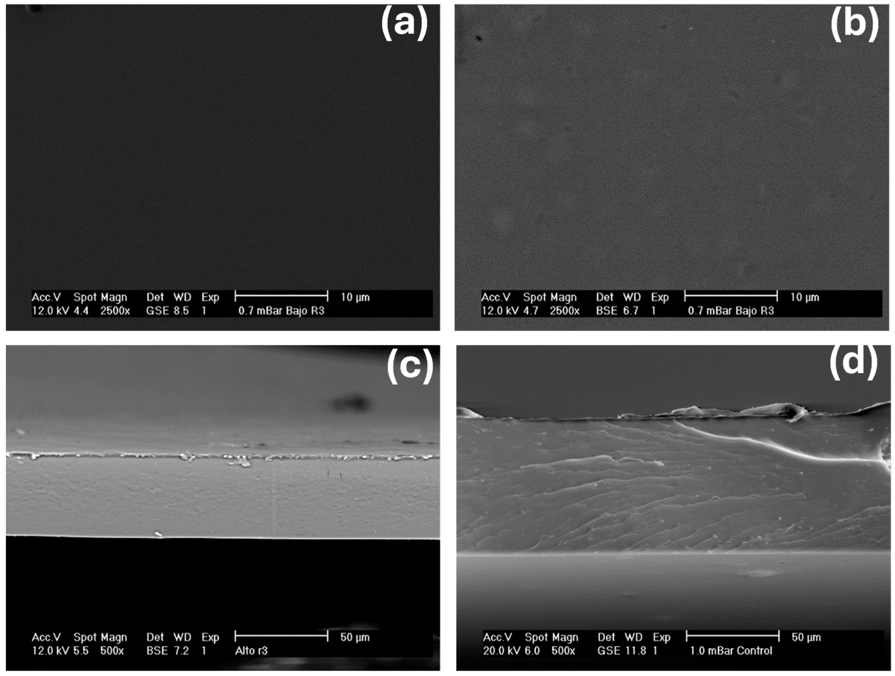 Gels 11 00760 g002 Gels 11 00760 g002