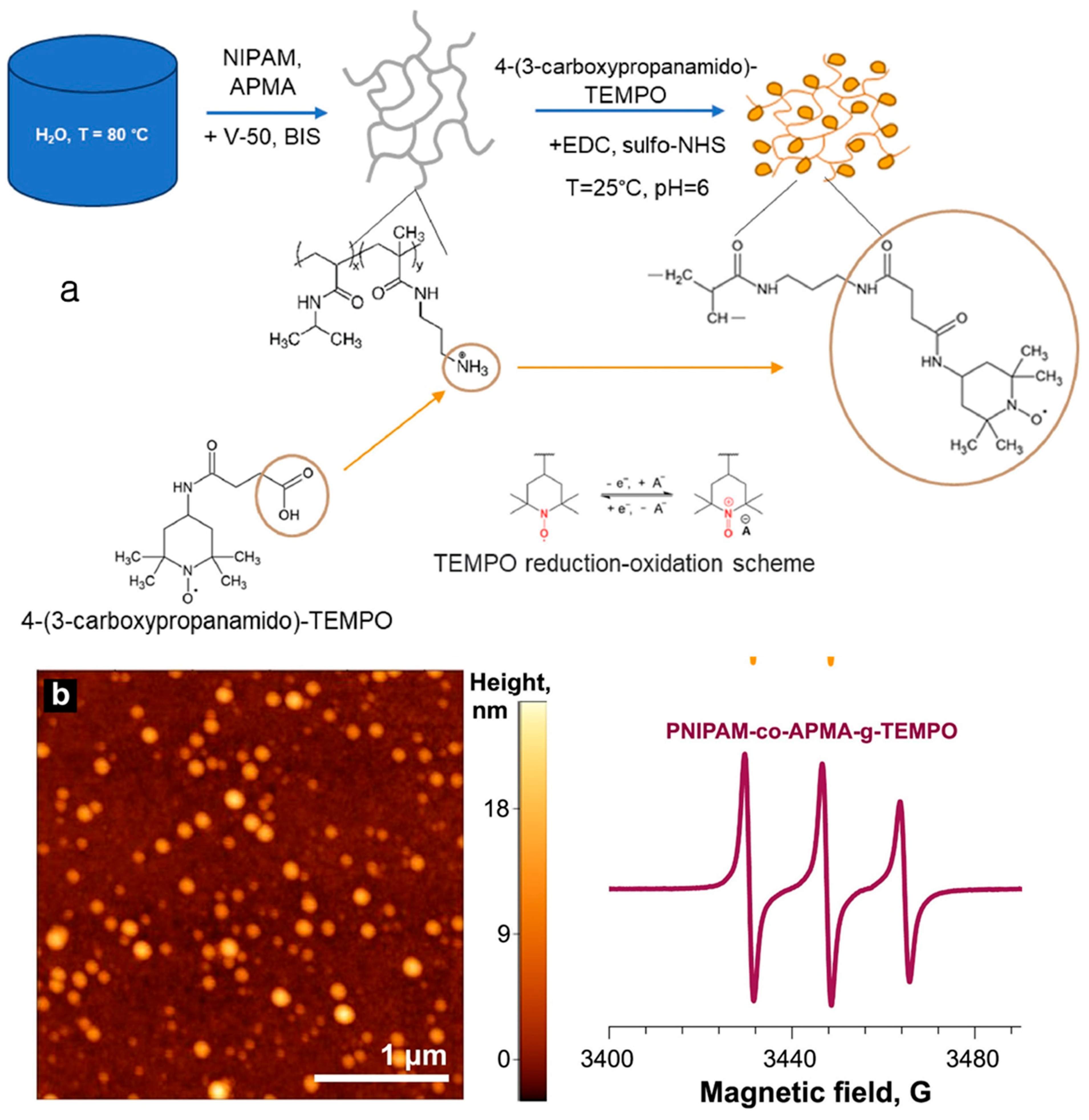Gels 11 00762 g003 Gels 11 00762 g003
