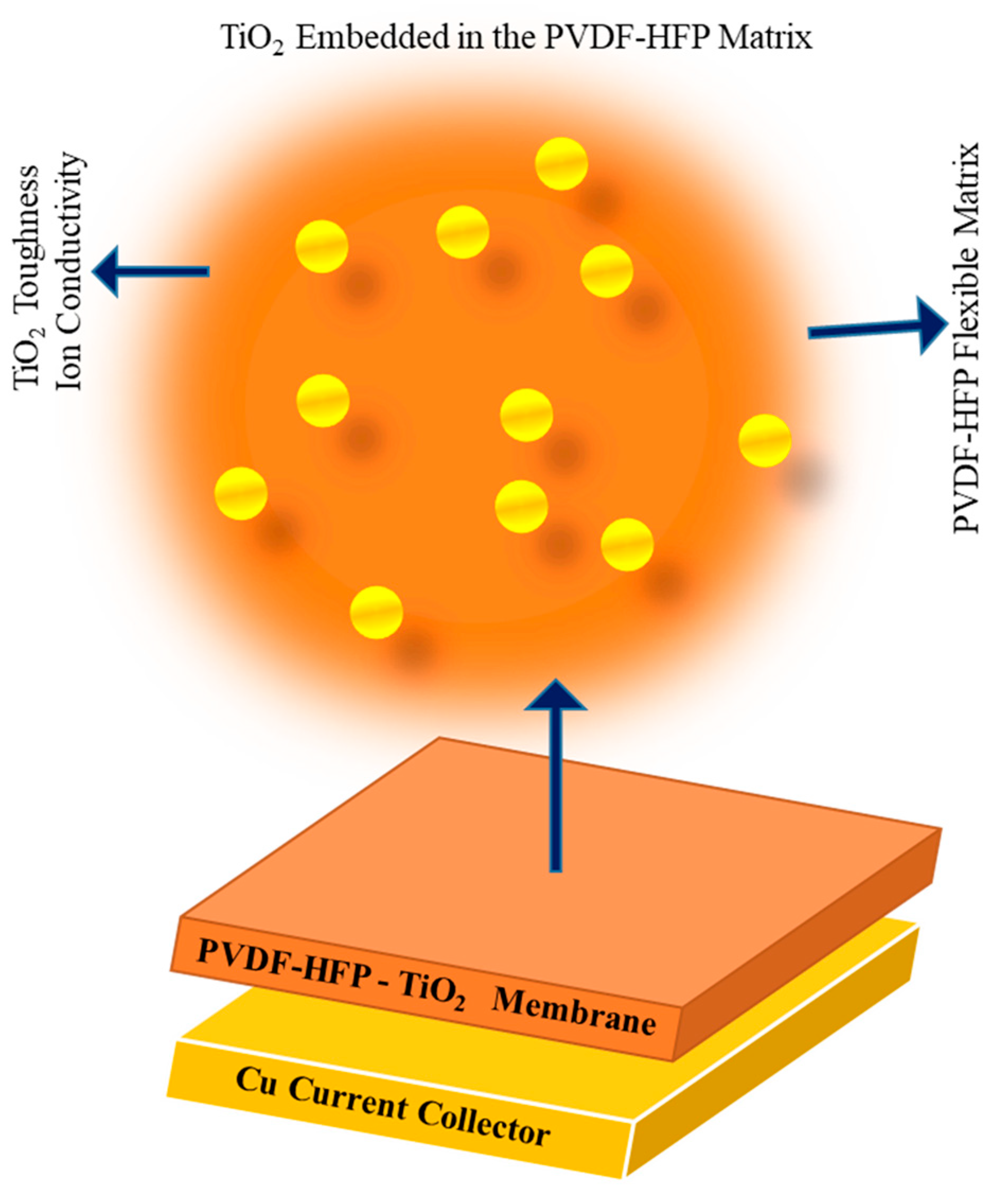 Gels 11 00762 g008 Gels 11 00762 g008