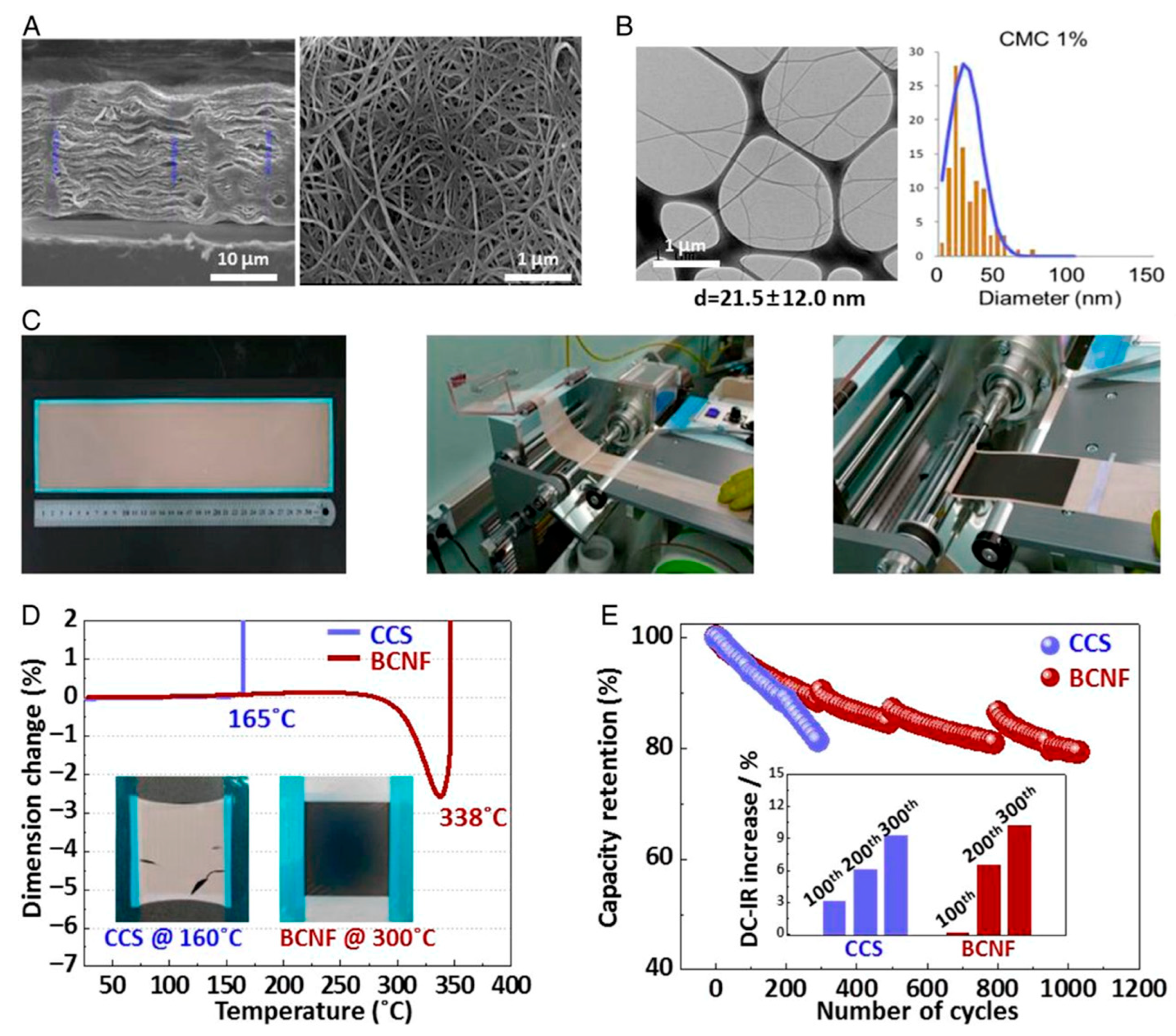 Gels 11 00762 g009 Gels 11 00762 g009