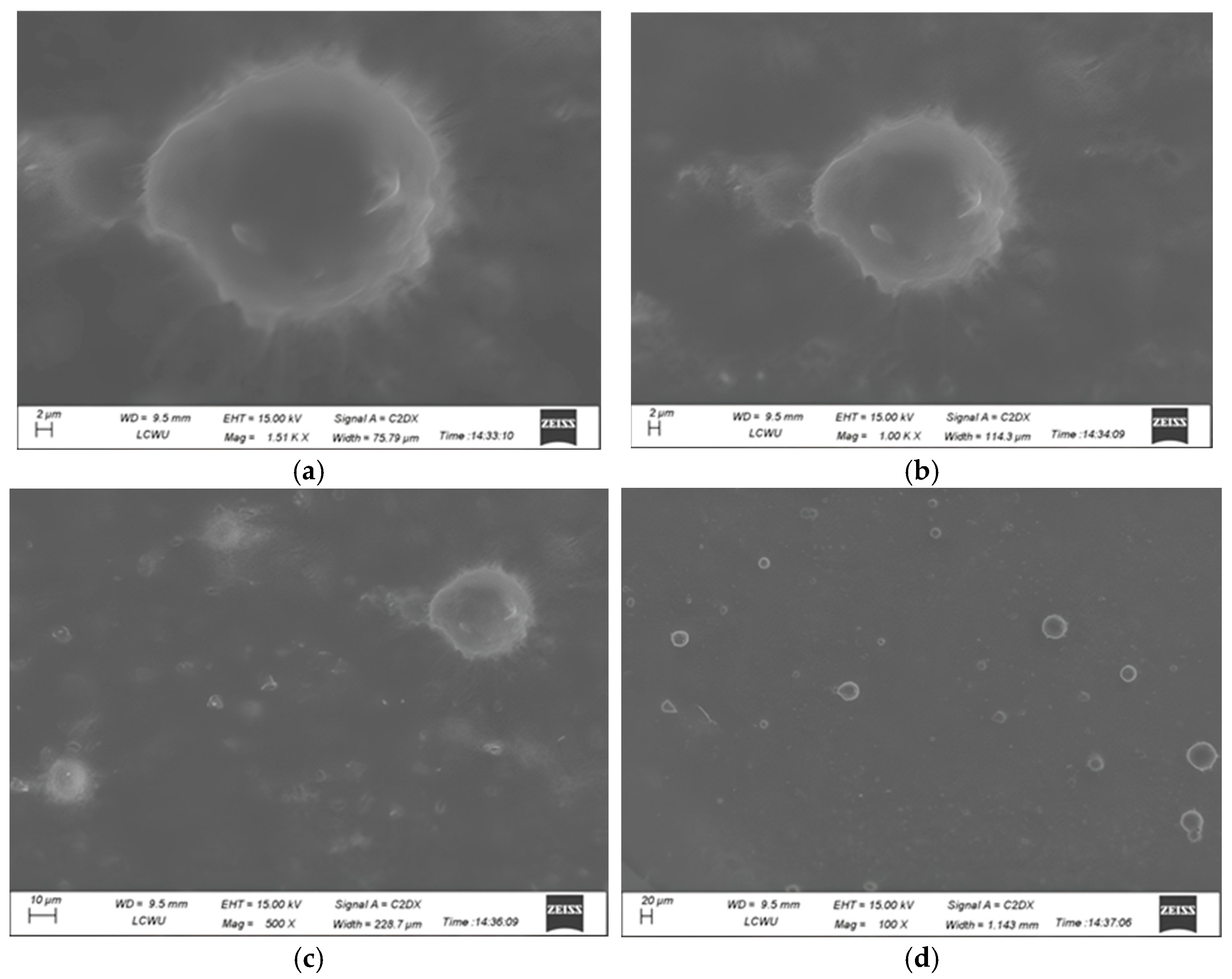 Gels 11 00774 g004 Gels 11 00774 g004