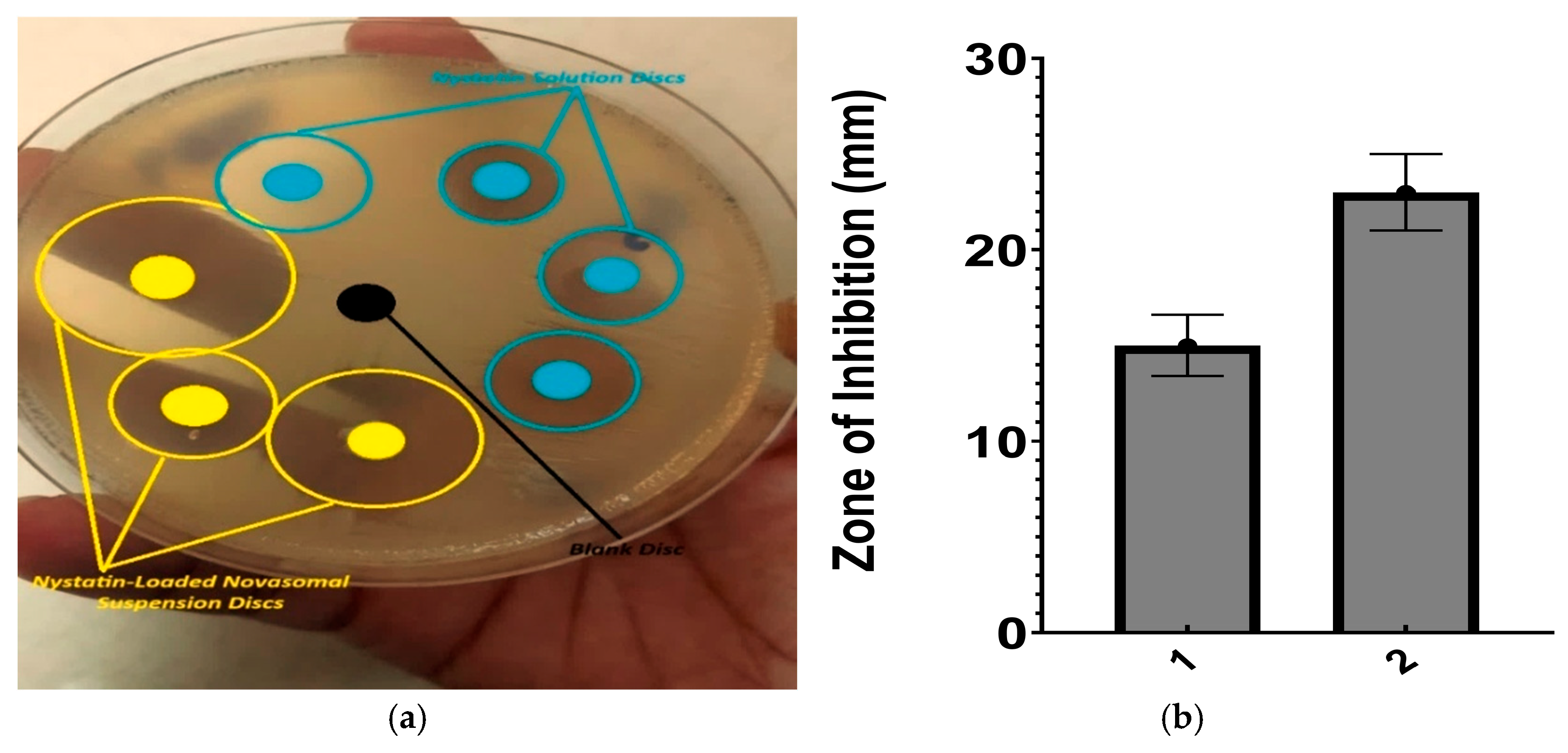 Gels 11 00774 g007 Gels 11 00774 g007