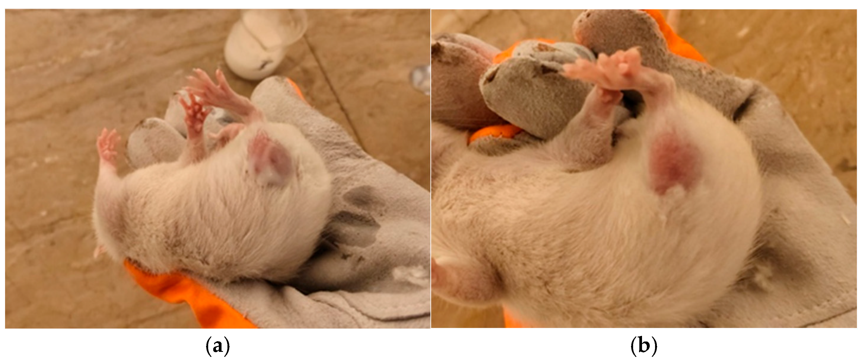 Gels 11 00774 g008 Gels 11 00774 g008