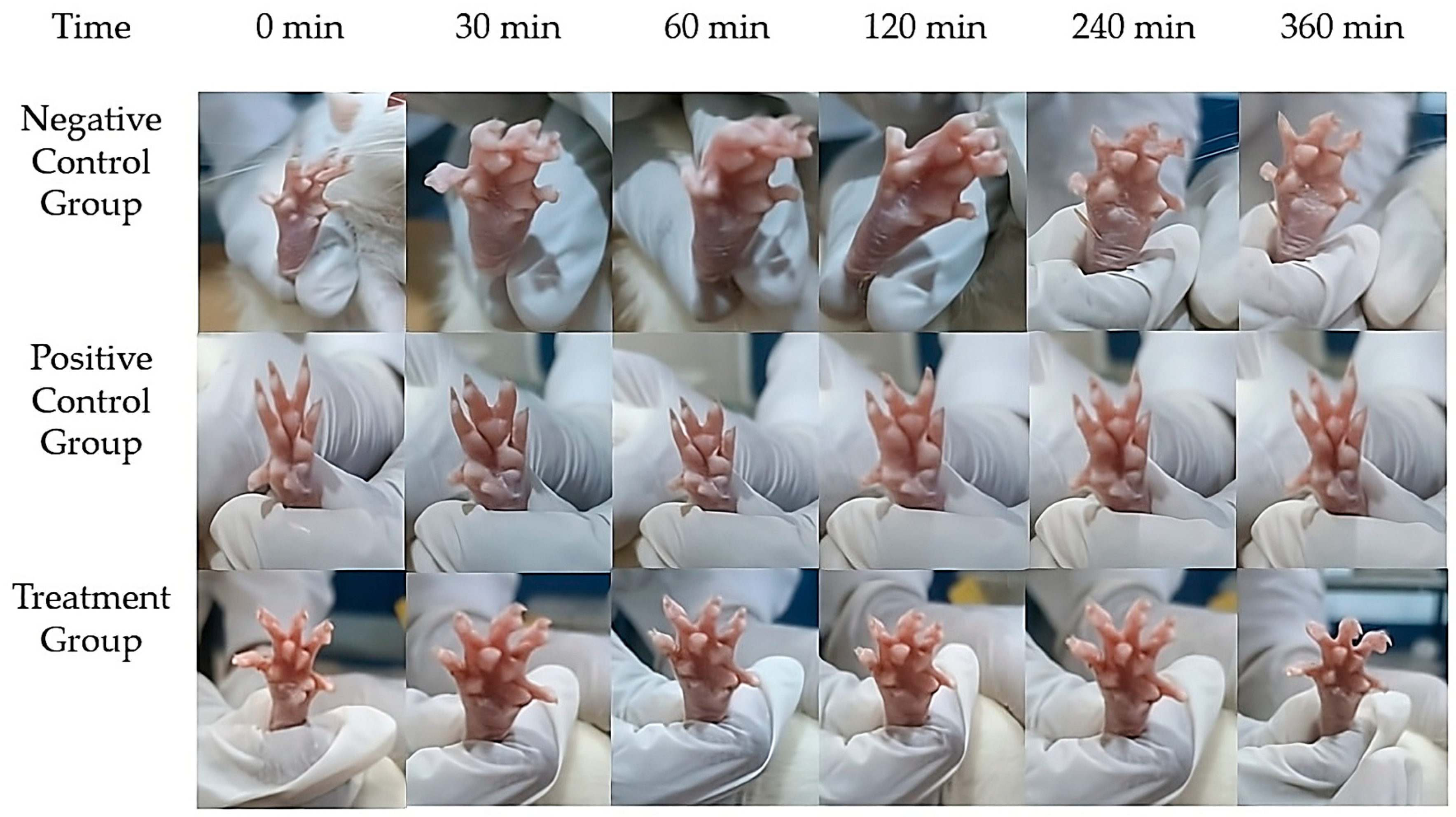 Gels 11 00776 g010 Gels 11 00776 g010