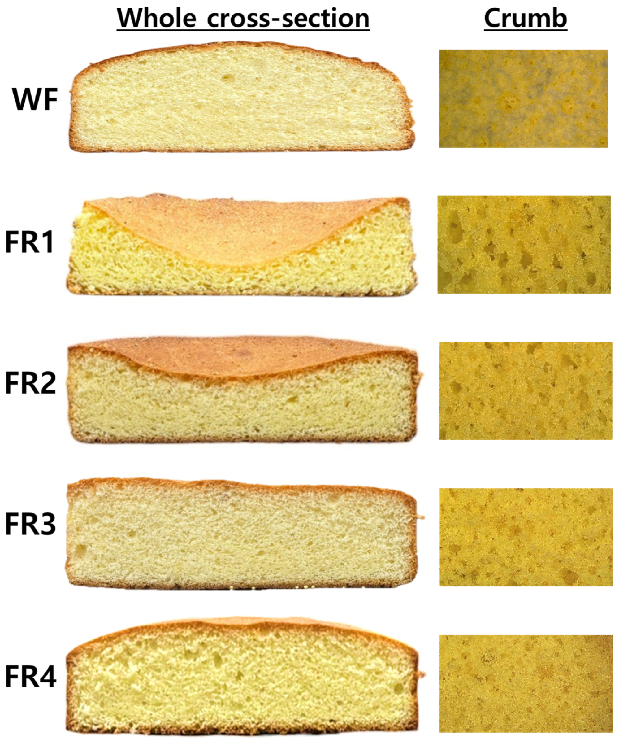 Gels 11 00789 g005 Gels 11 00789 g005