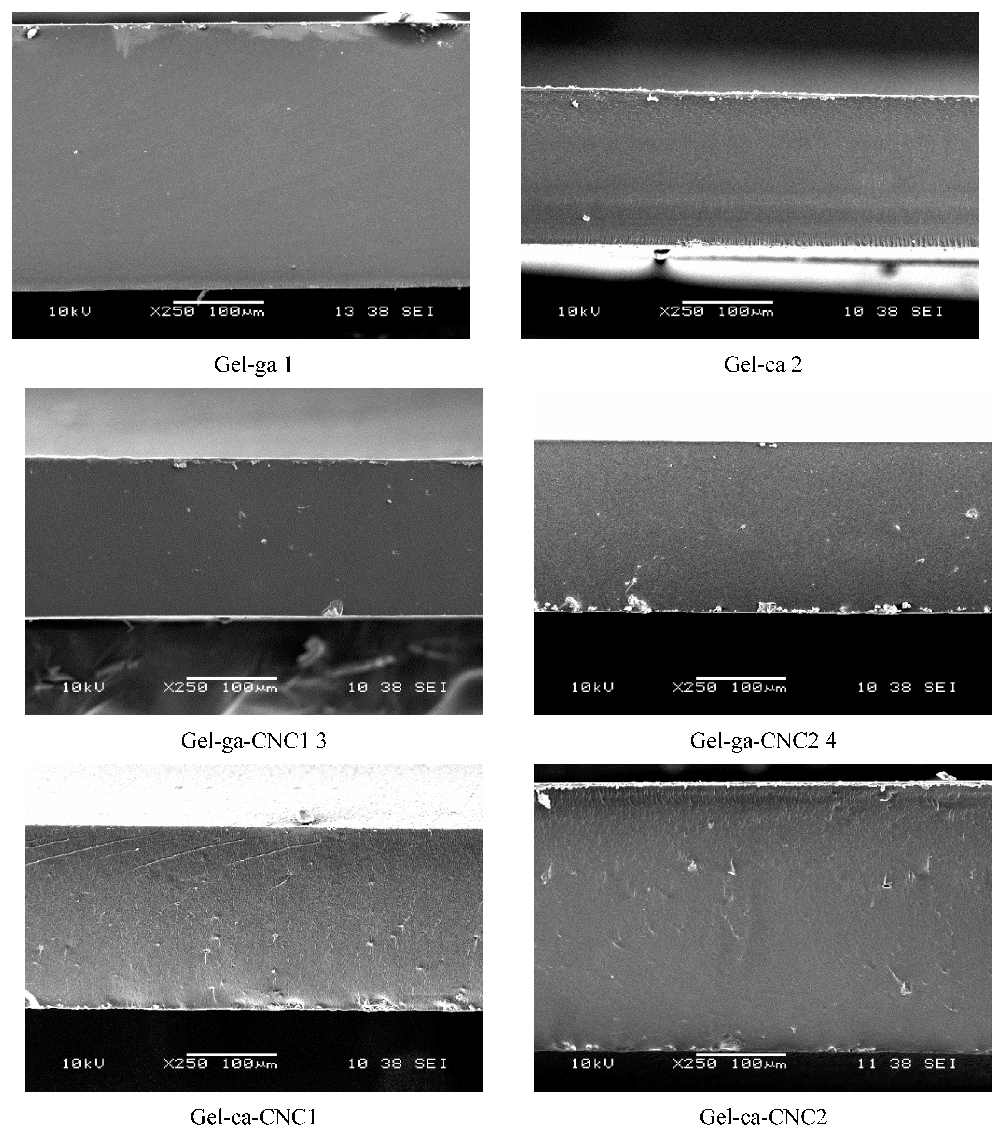 Gels 11 00790 g006 Gels 11 00790 g006