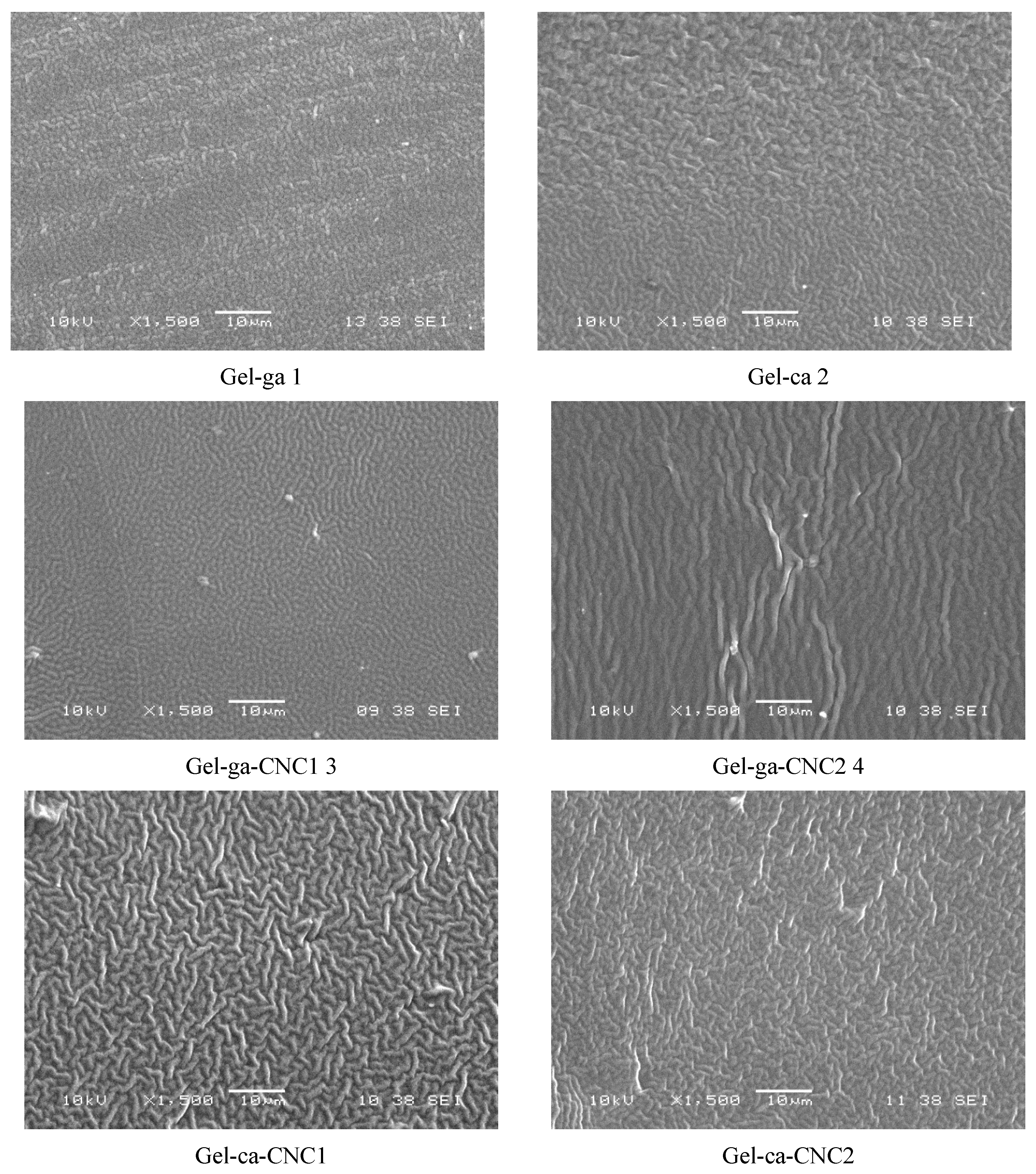 Gels 11 00790 g007 Gels 11 00790 g007