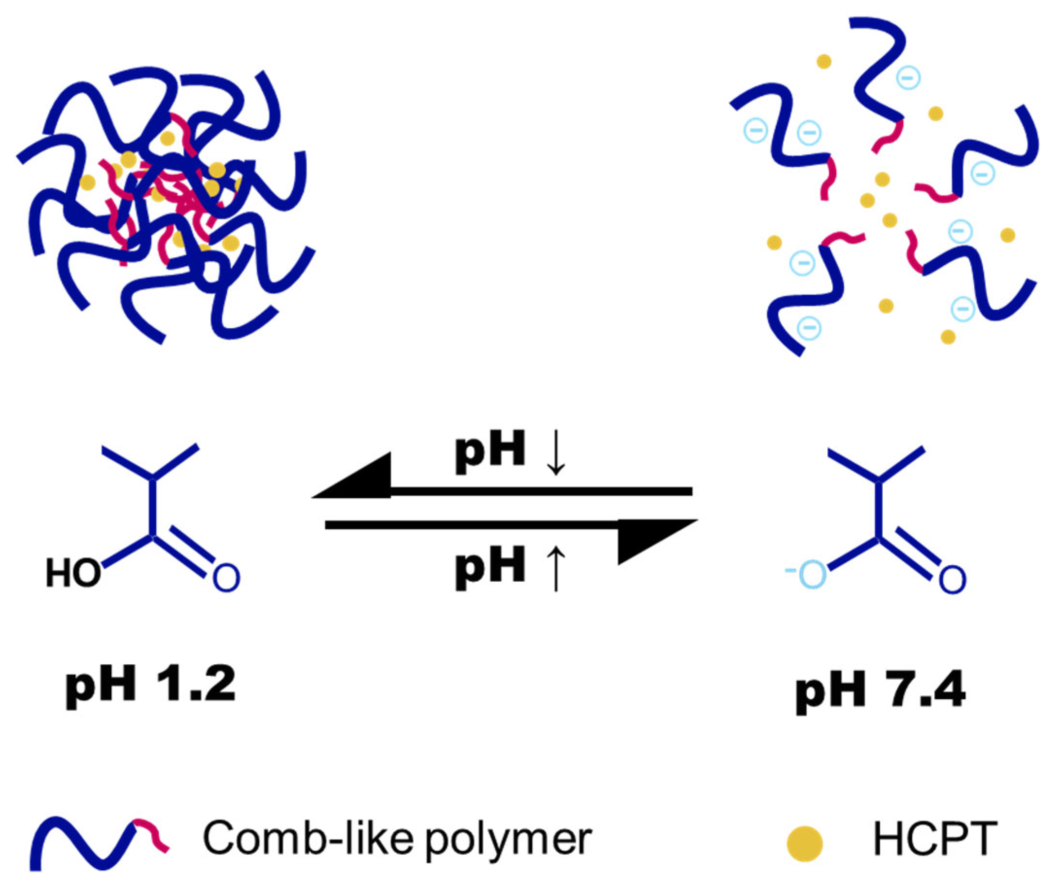 Gels 11 00806 g001 Gels 11 00806 g001