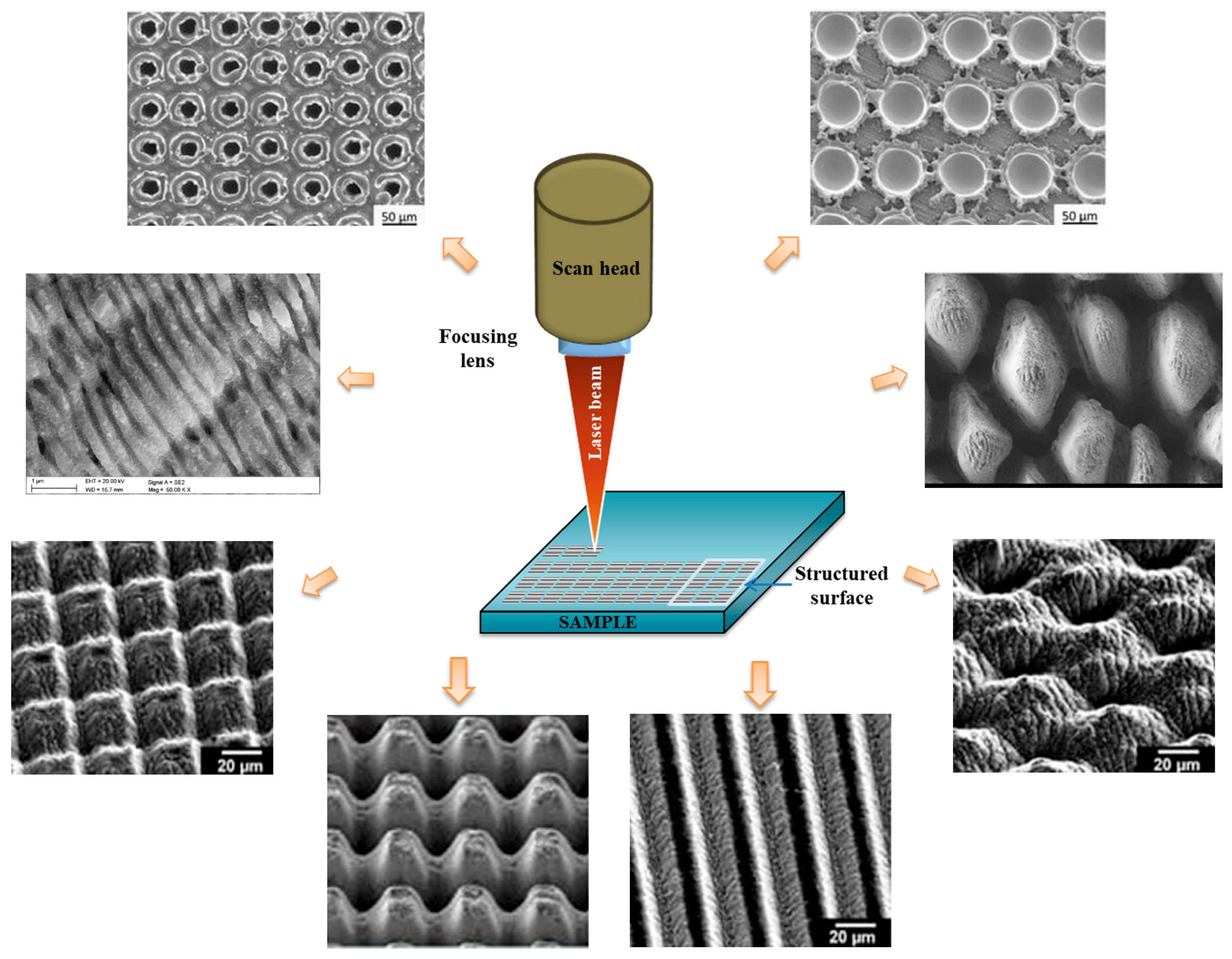 Gels 11 00811 g005 Gels 11 00811 g005