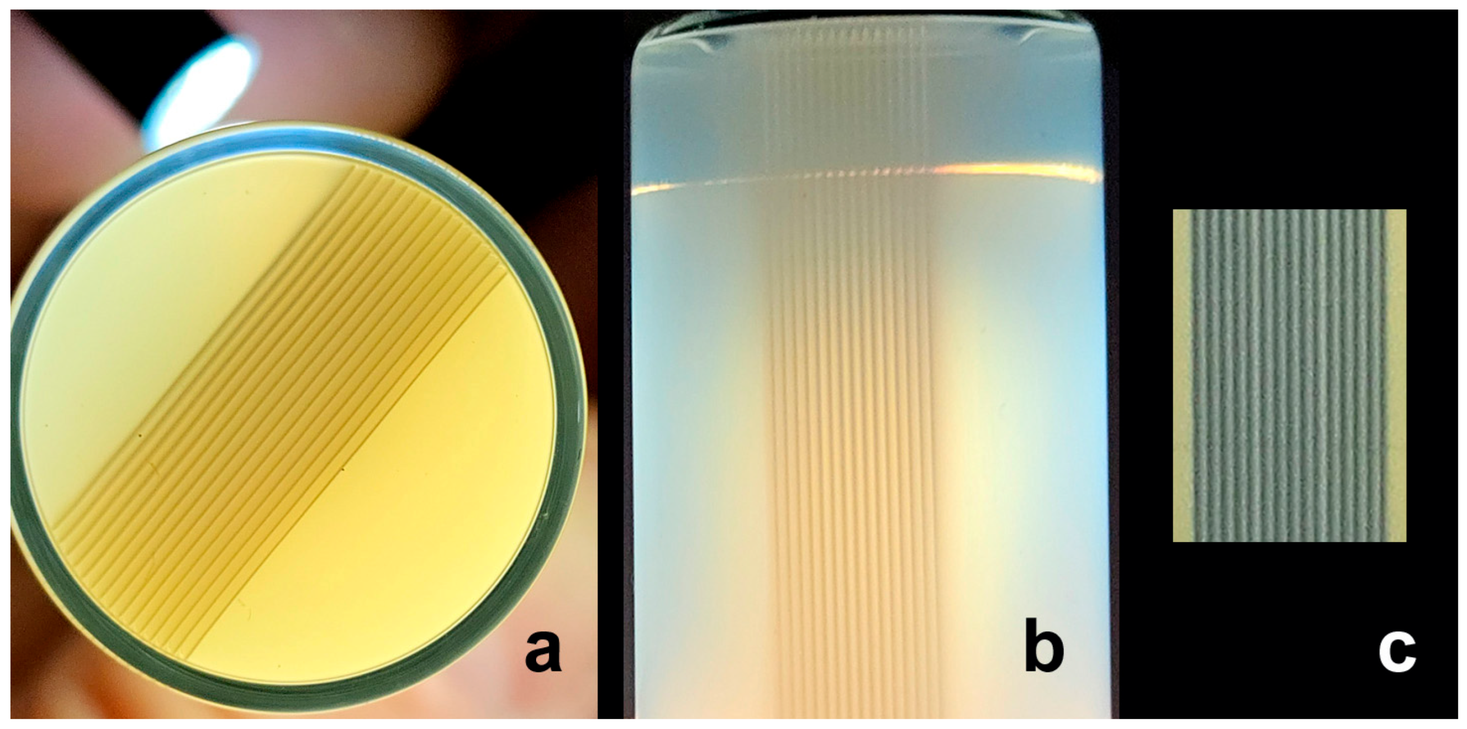 Gels 11 00814 g002 Gels 11 00814 g002