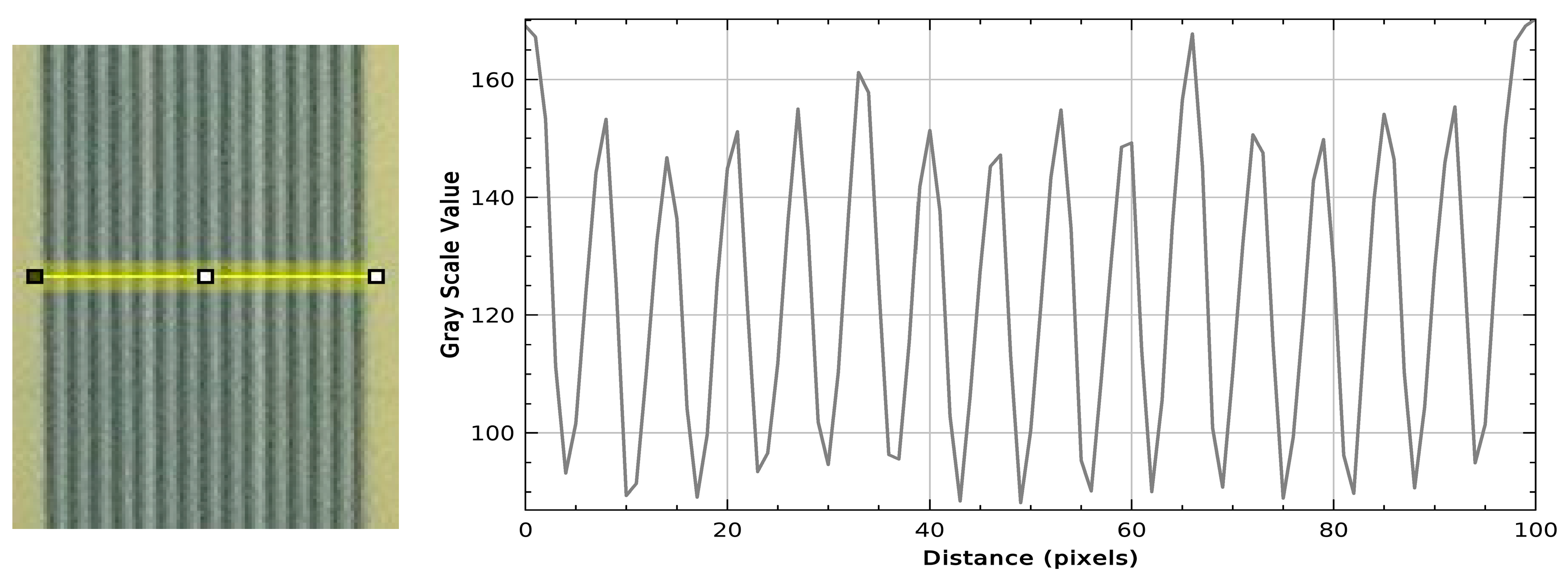 Gels 11 00814 g007 Gels 11 00814 g007