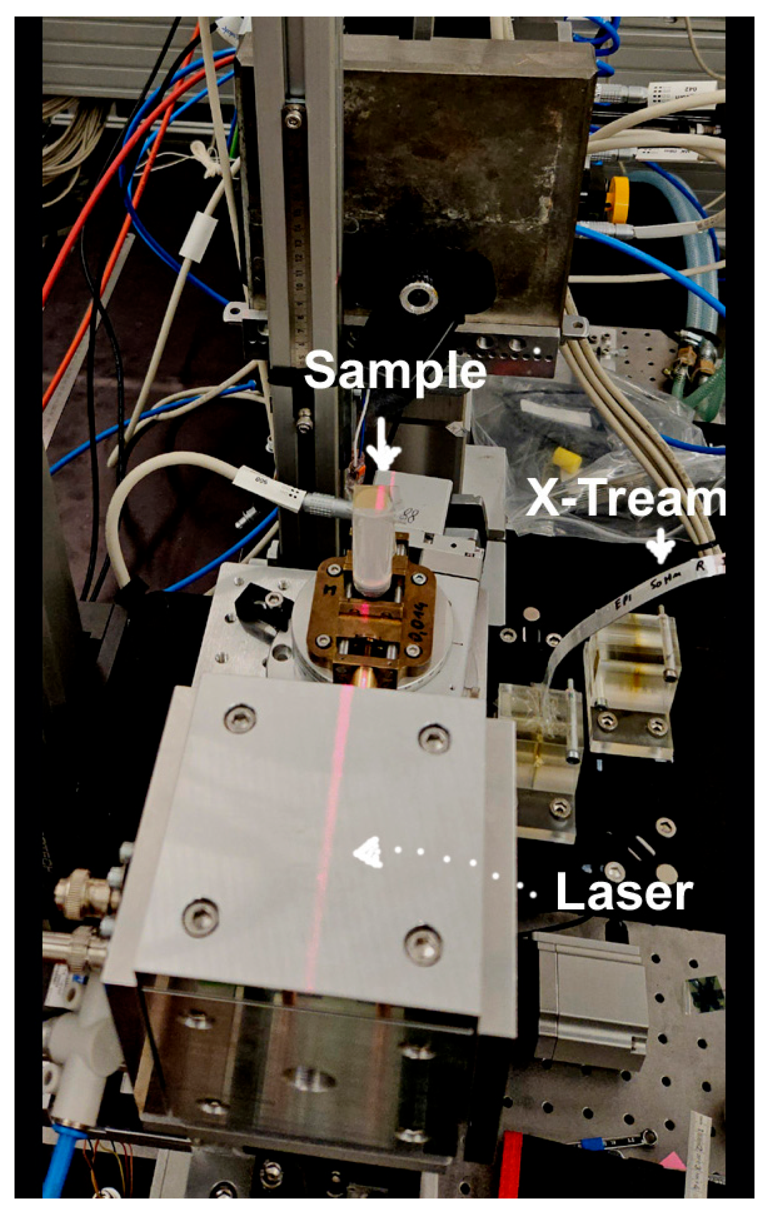 Gels 11 00814 g009 Gels 11 00814 g009