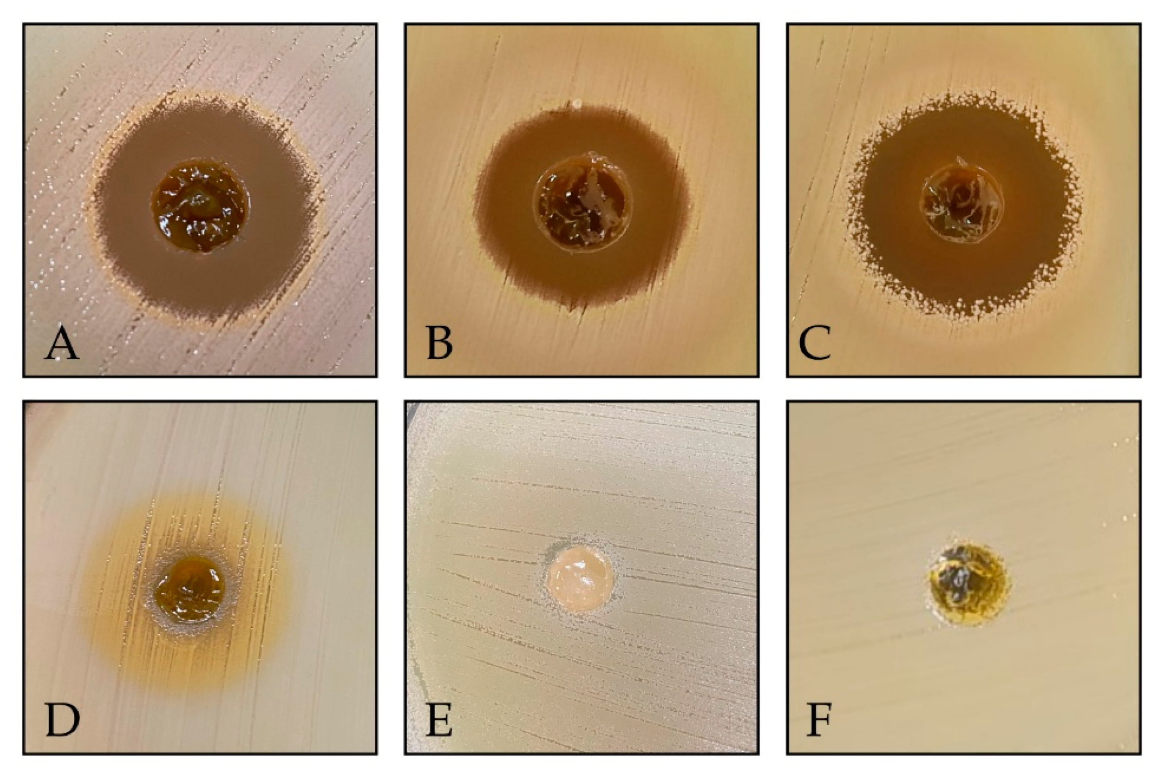 Gels 11 00831 g005 Gels 11 00831 g005