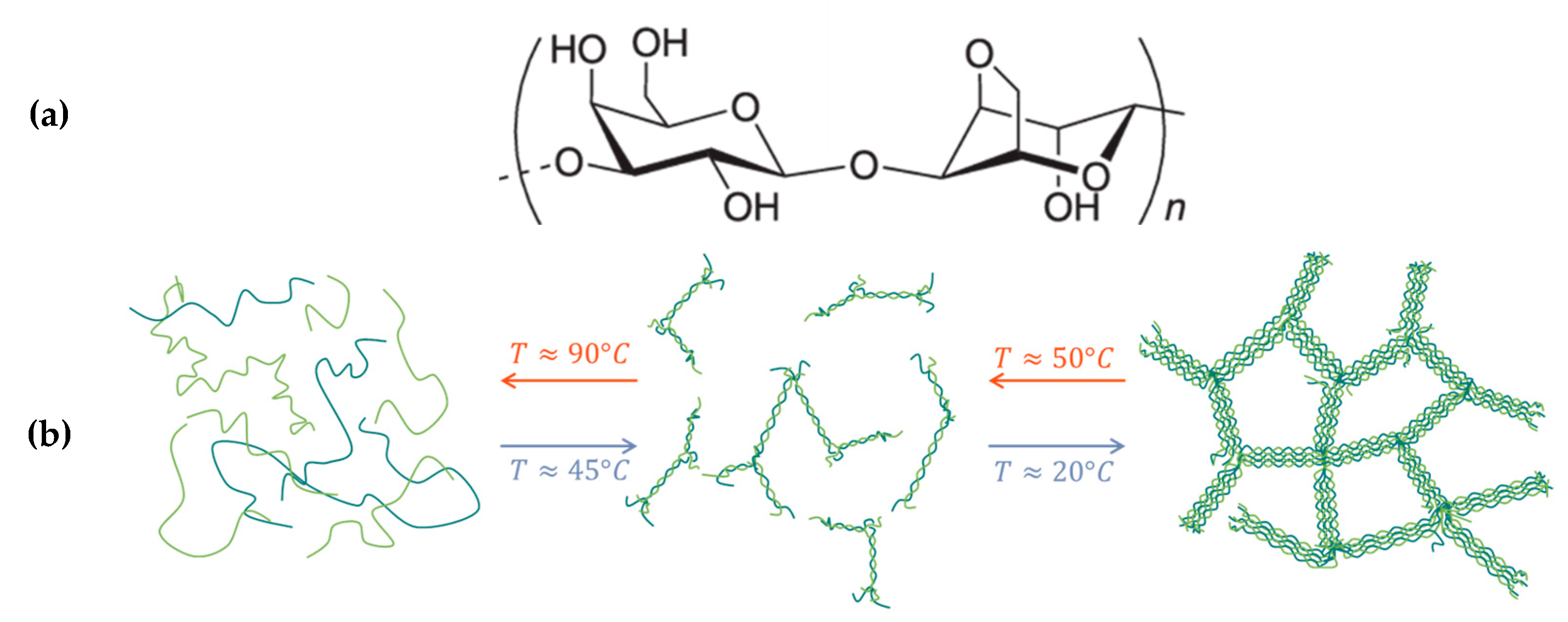 Gels 11 00842 g002 Gels 11 00842 g002