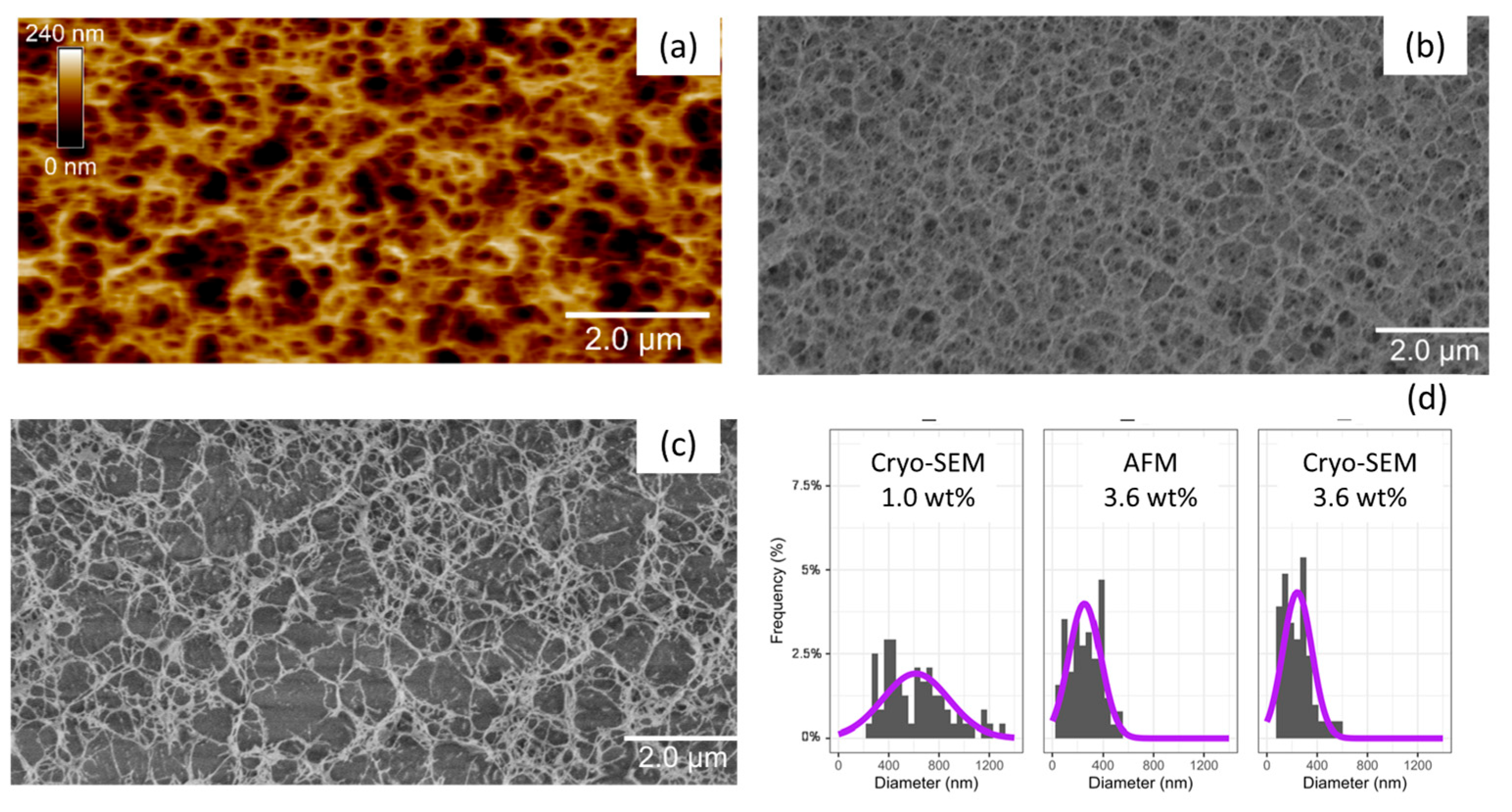 Gels 11 00842 g006 Gels 11 00842 g006