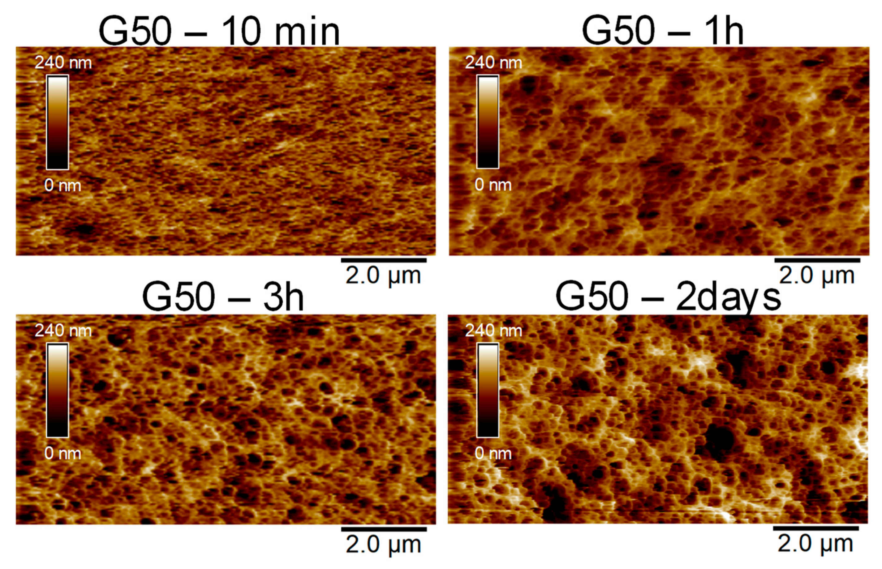 Gels 11 00842 g011 Gels 11 00842 g011