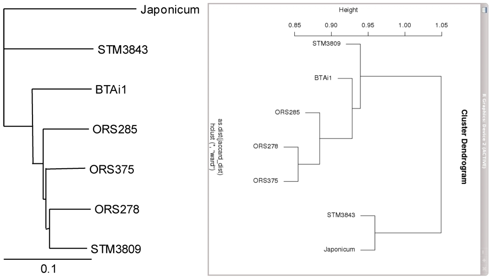 Genes 03 00035 g004