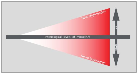 Genes | Free Full-Text | MicroRNAs and Molecular Mechanisms of  Neurodegeneration