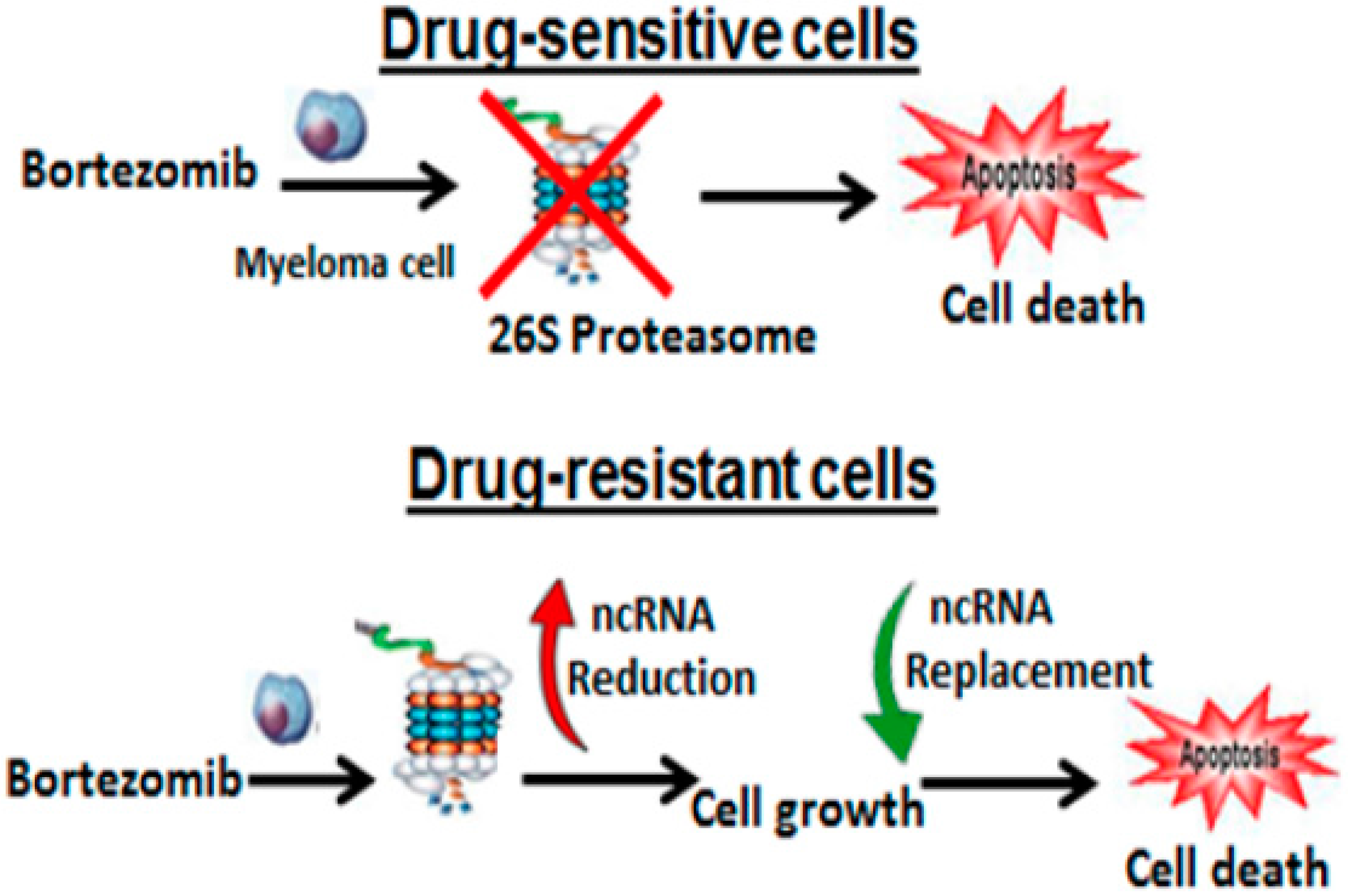 Genes 07 00084 g006