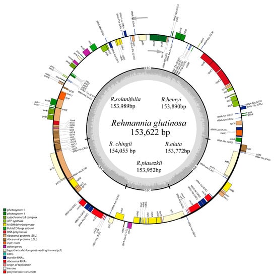 Genes March 2017 Browse Articles - 